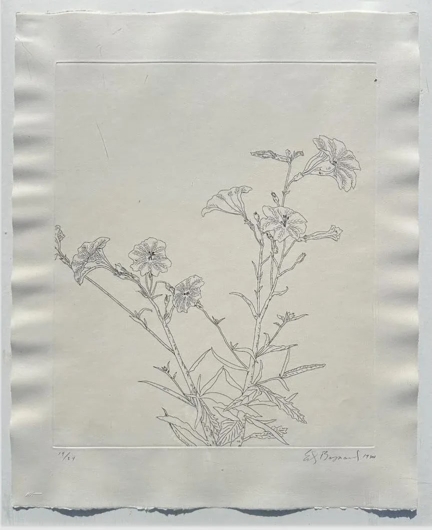 Ed Baynard (American, 1940-2016) Floral, Flowers Etching Framed - 5