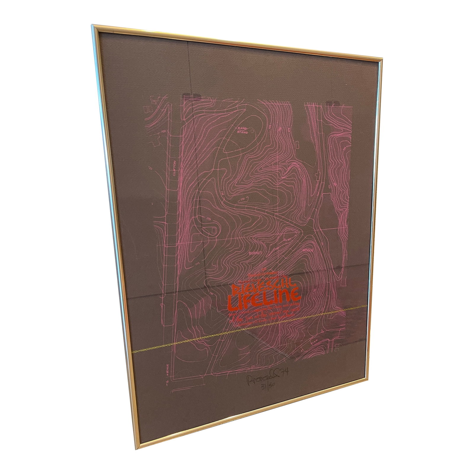 1970s 73 Gary Rieveschl Signed Numbered Lithograph Lifeline Ohio Environmental Installation Crocuses: 1973 limited edition lithograph by renowed environmental installation artist Gary Rieveschl. #31 of 50, this rare piece was commissioned to memoralize the historic installation of 2000 yellow