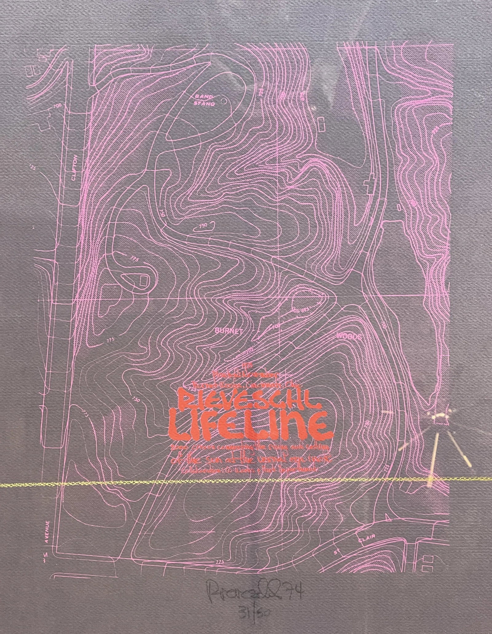 1970s 73 Gary Rieveschl Signed Numbered Lithograph Lifeline Ohio Environmental Installation Crocuses - 2