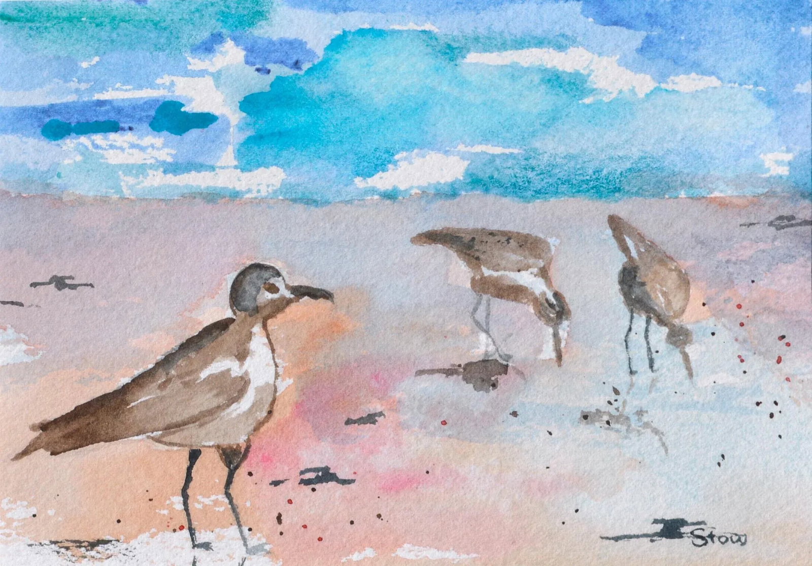 Maryann Stow Florida Seabirds Watercolor Landscape circa 1980 - 2