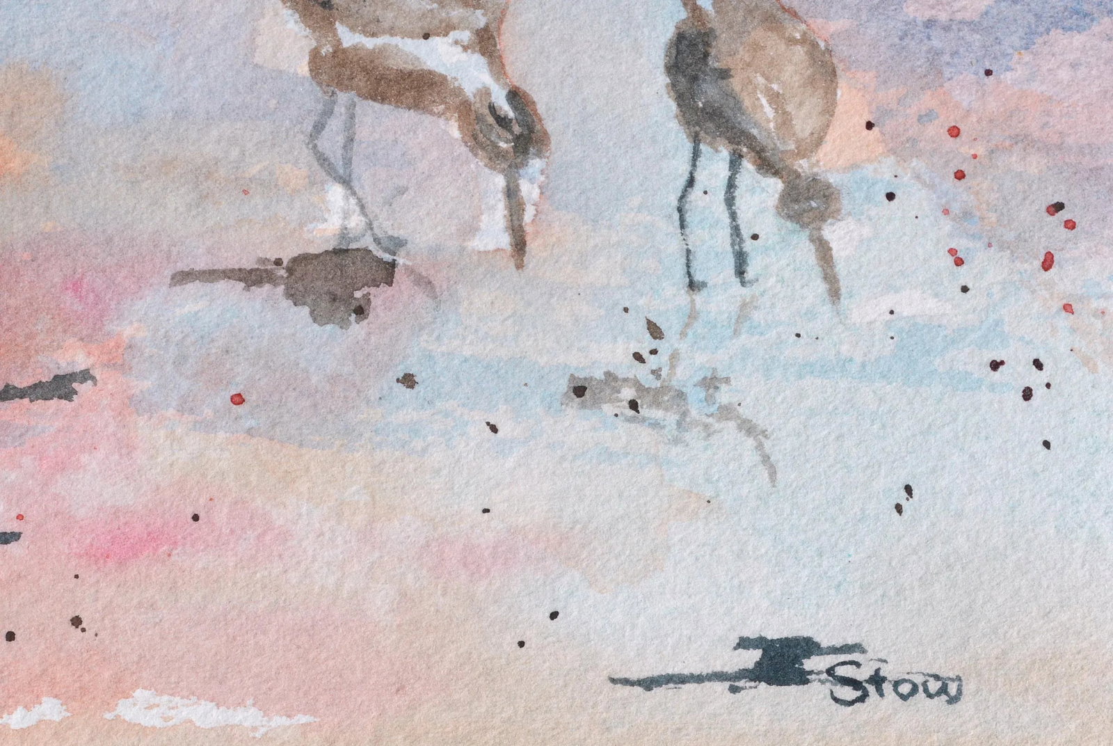 Maryann Stow Florida Seabirds Watercolor Landscape circa 1980 - 5