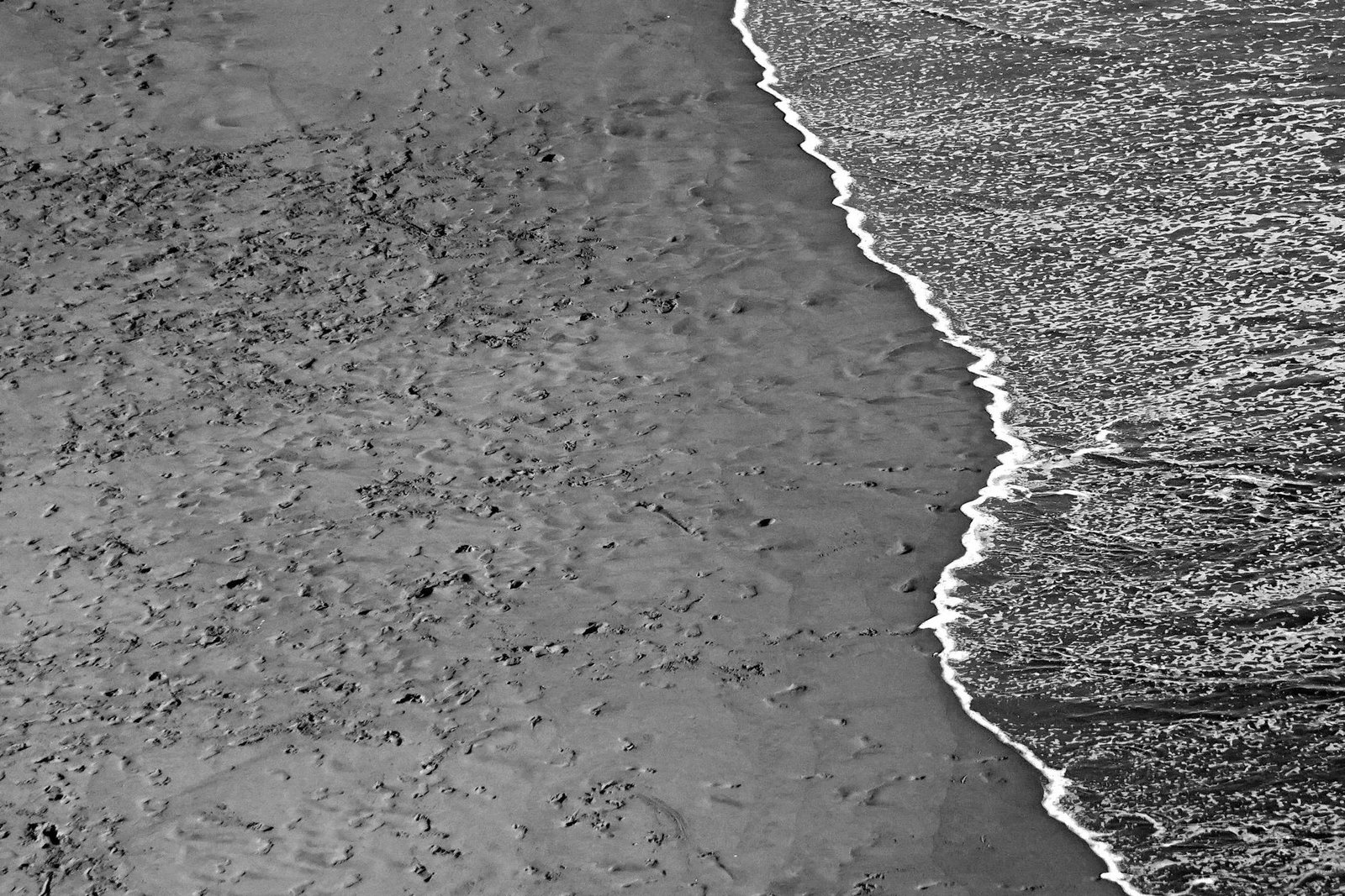 2021 "Calm Costa Rica Shore" Contemporary Minimalist Black and White Seascape Print - 8
