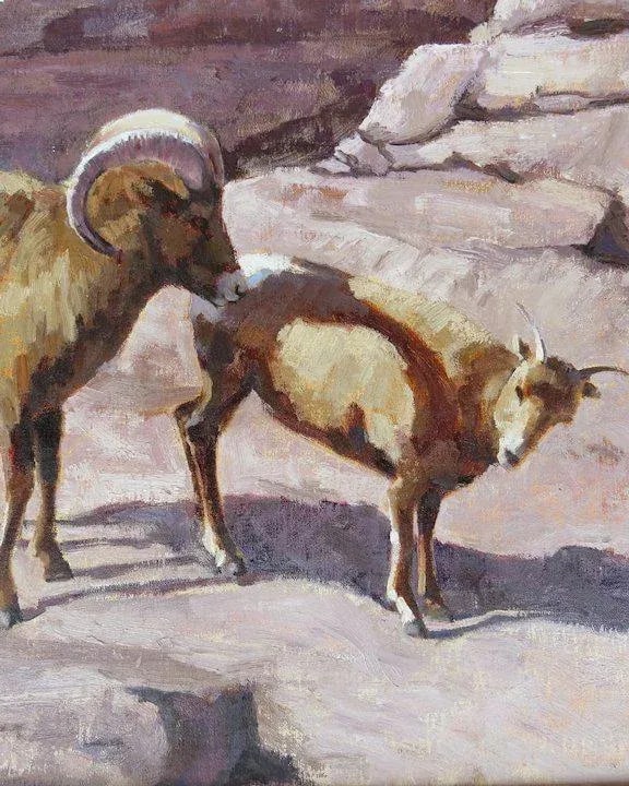 Spring Rituals Contemporary Oil Painting of Two Colorado Rams by Susan Bell, Framed - 11