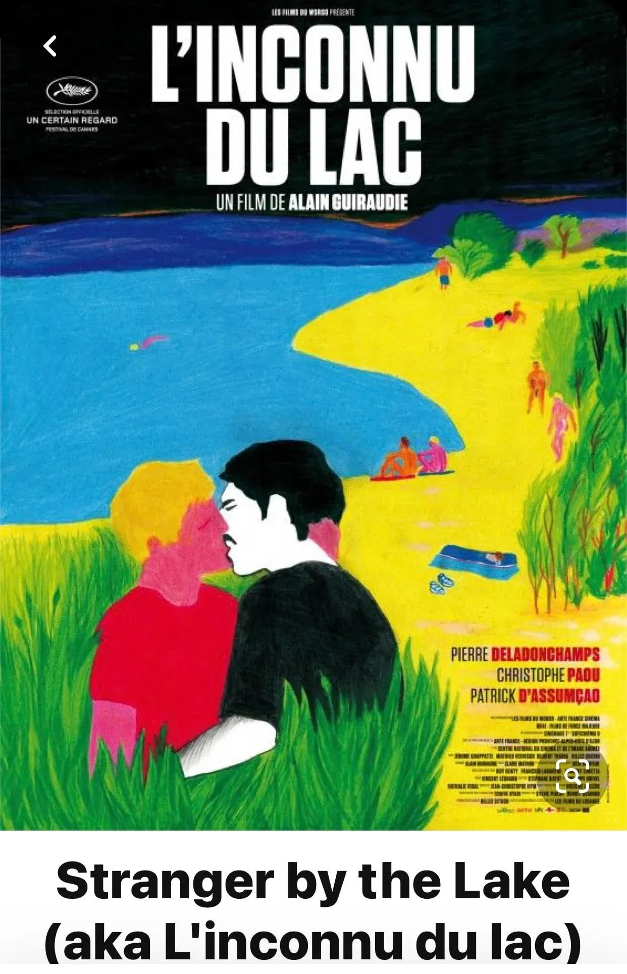 Gay Award Winning Film "Stranger by the Lake "Original X Large Movie Poster Sundance Cannes - 4