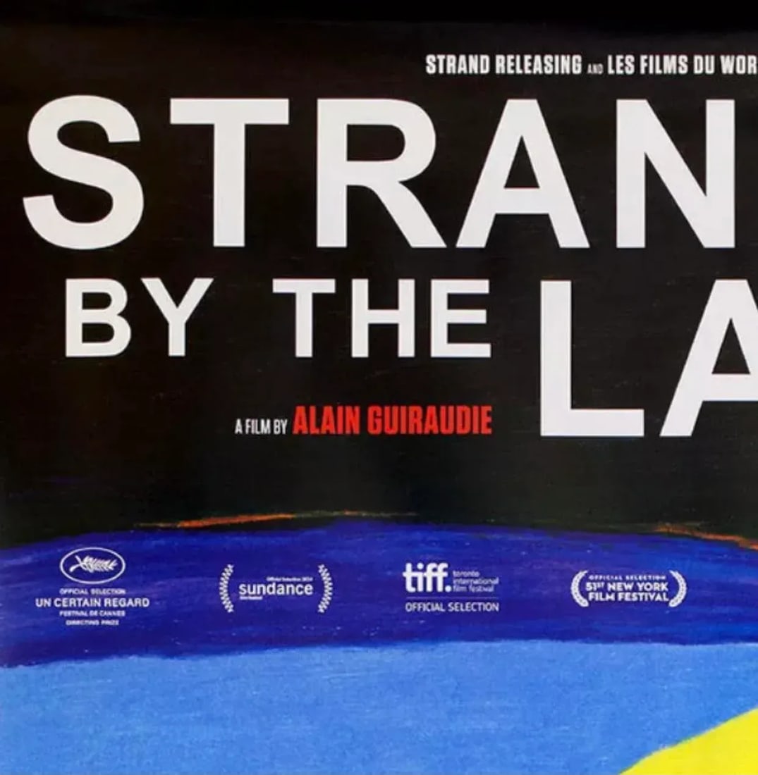 Gay Award Winning Film "Stranger by the Lake "Original X Large Movie Poster Sundance Cannes - 5