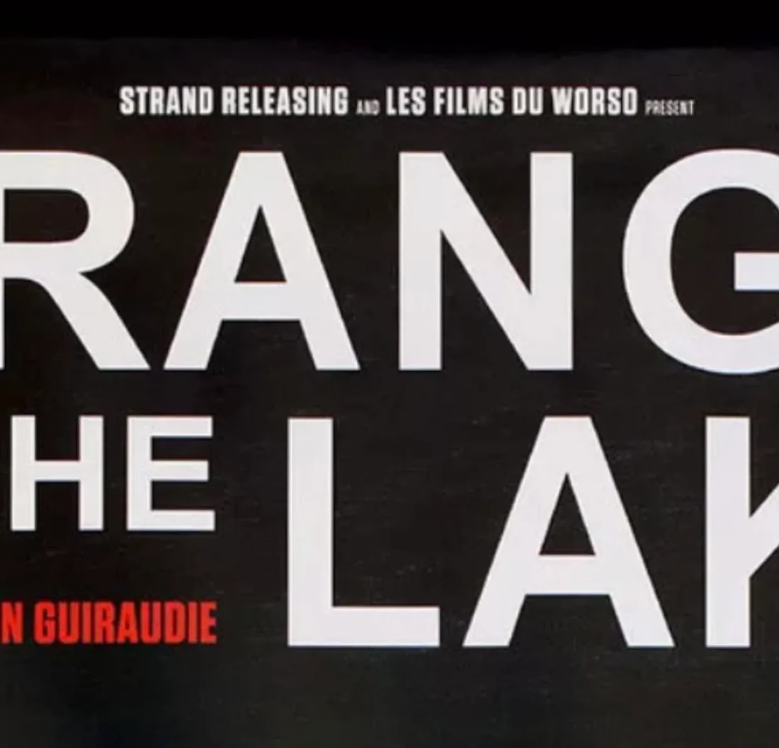 Gay Award Winning Film "Stranger by the Lake "Original X Large Movie Poster Sundance Cannes - 6