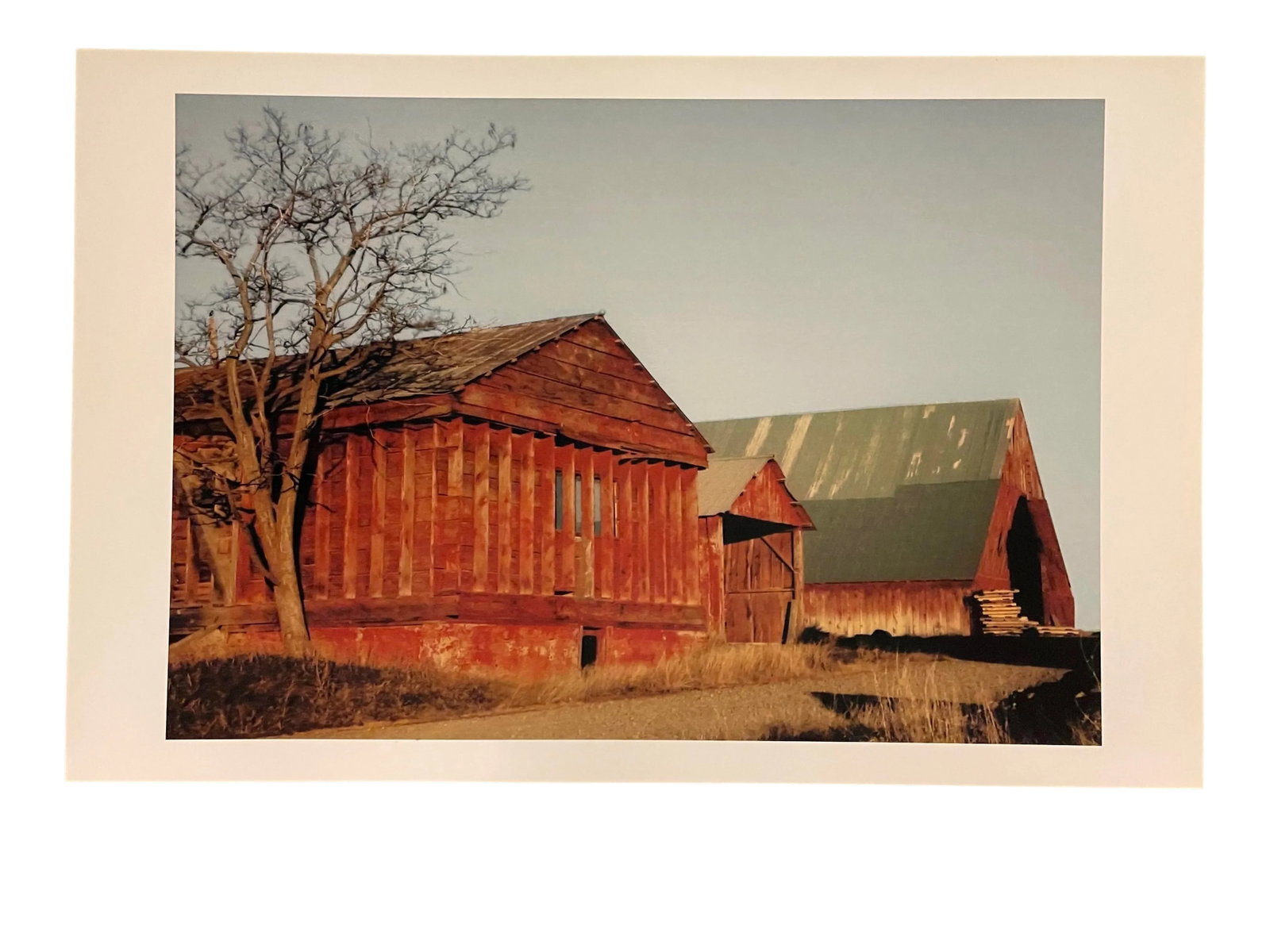 Gleb Derujinsky "Fall Barn" Contemporary Landscape Photograph Print: The pleasure of finally being able to go through the archive of my father, Gleb Derujinsky, and begin the task of sharing his vast imagination is a thrill. Many know his work now from his career as a 