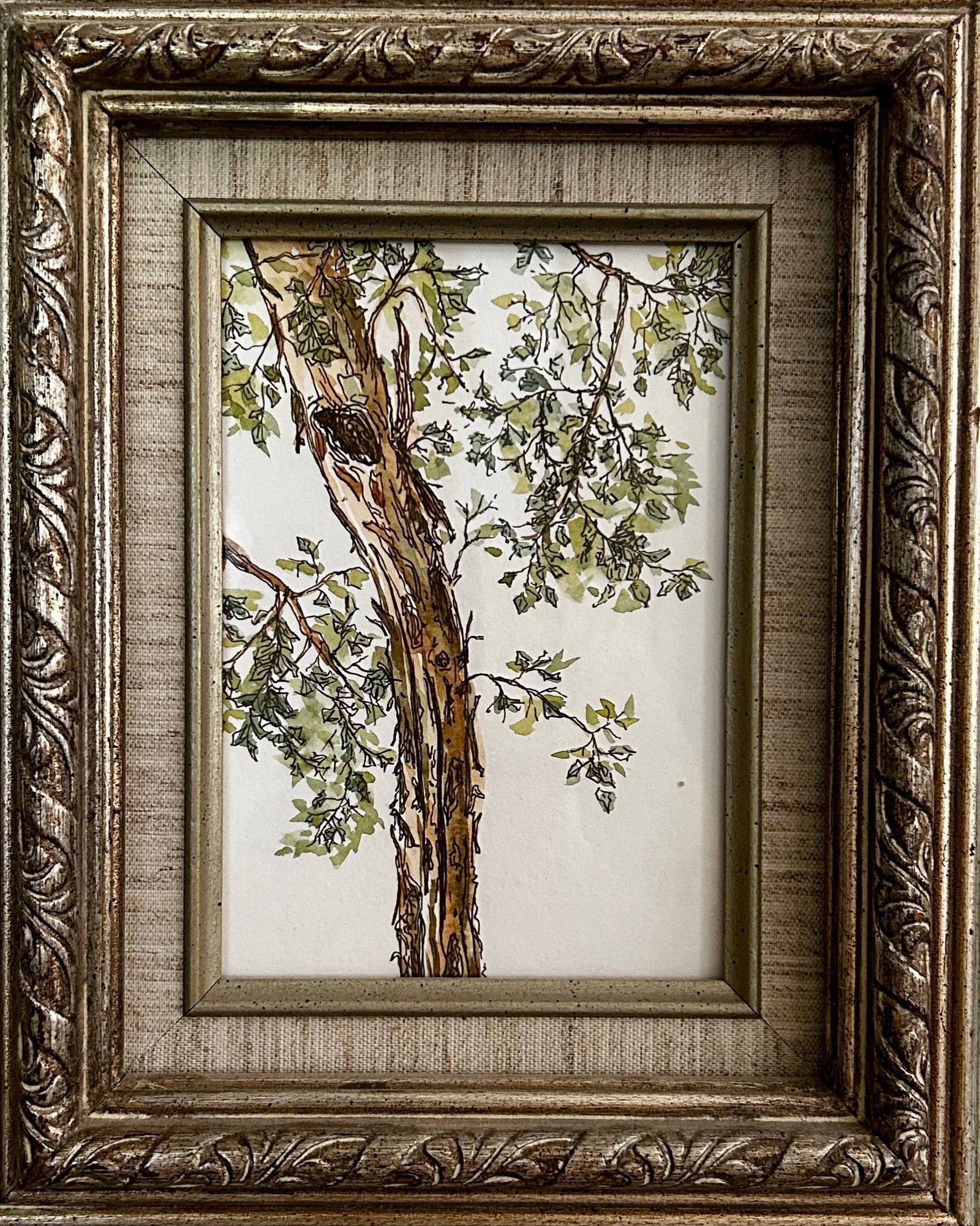 Original Watercolor Small Painting "Eucalyptus Tree" Framed - 3