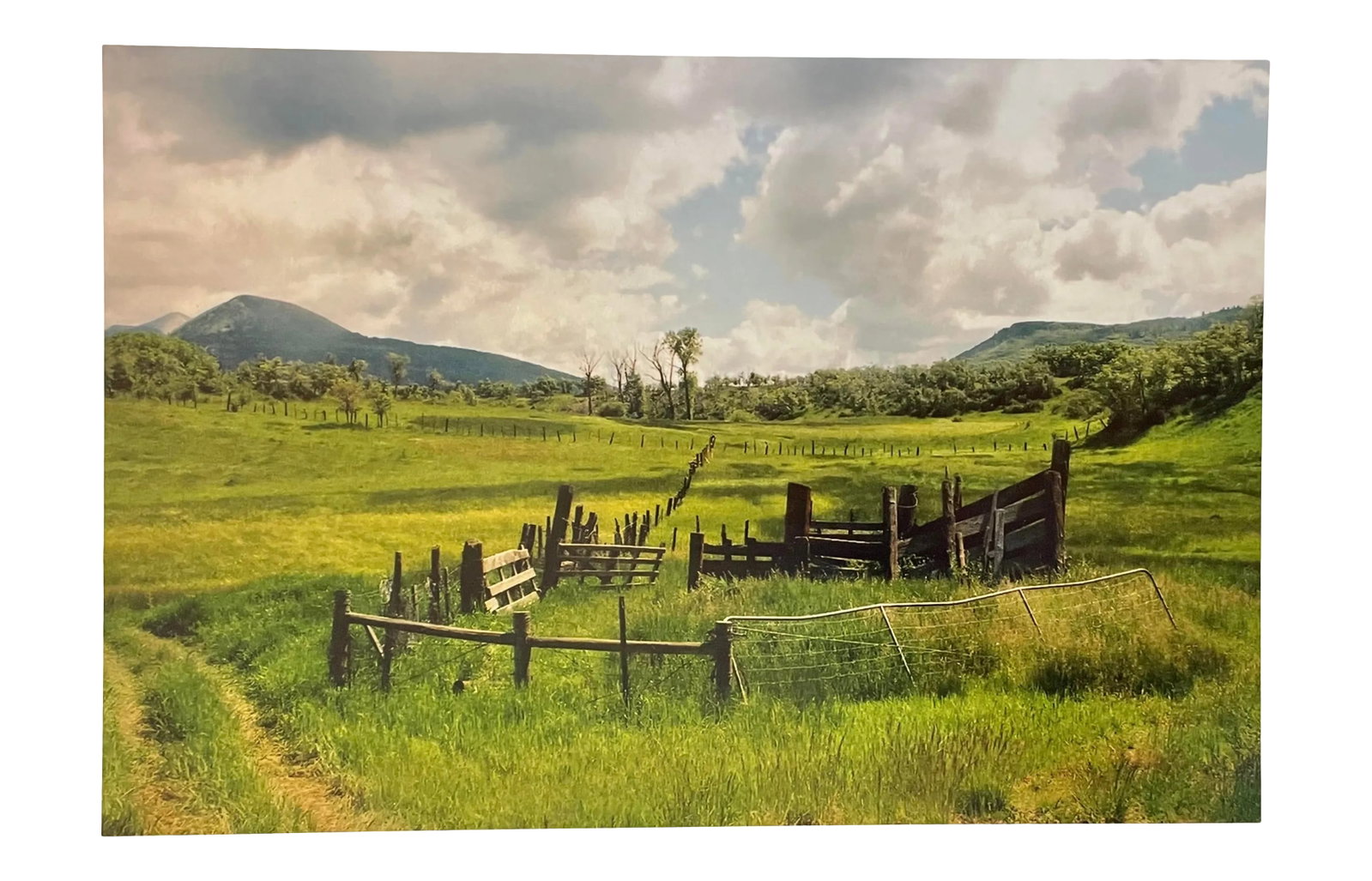 Gleb Derujinsky "Vanishing Fences" Contemporary Landscape Photograph Print: The pleasure of finally being able to go through the archive of my father, Gleb Derujinsky, and begin the task of sharing his vast imagination is a thrill. Many know his work now from his career as a
