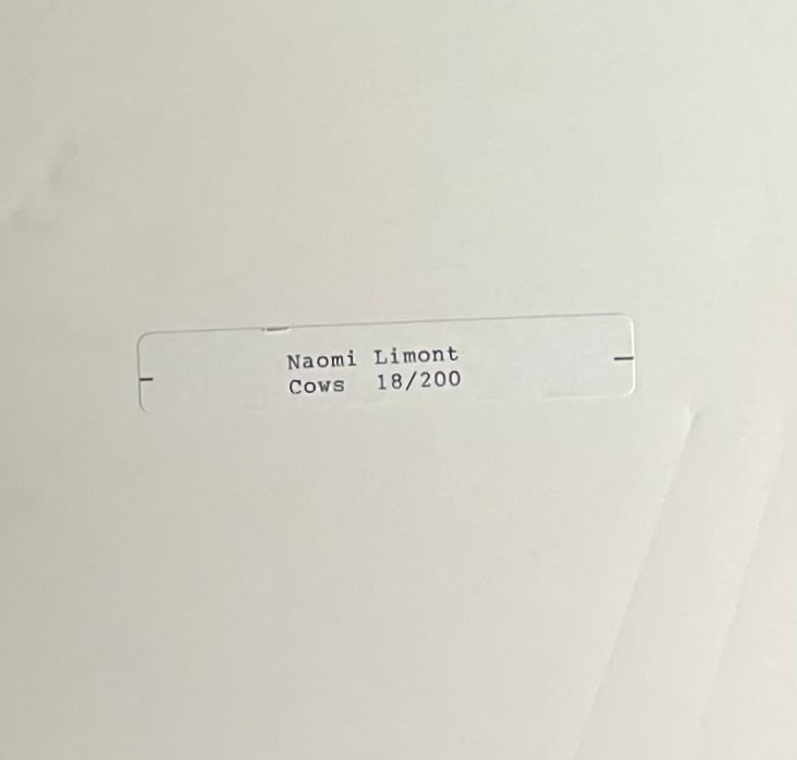 1980s Naomi Limont "Cows" Signed Print (18/200) - 5