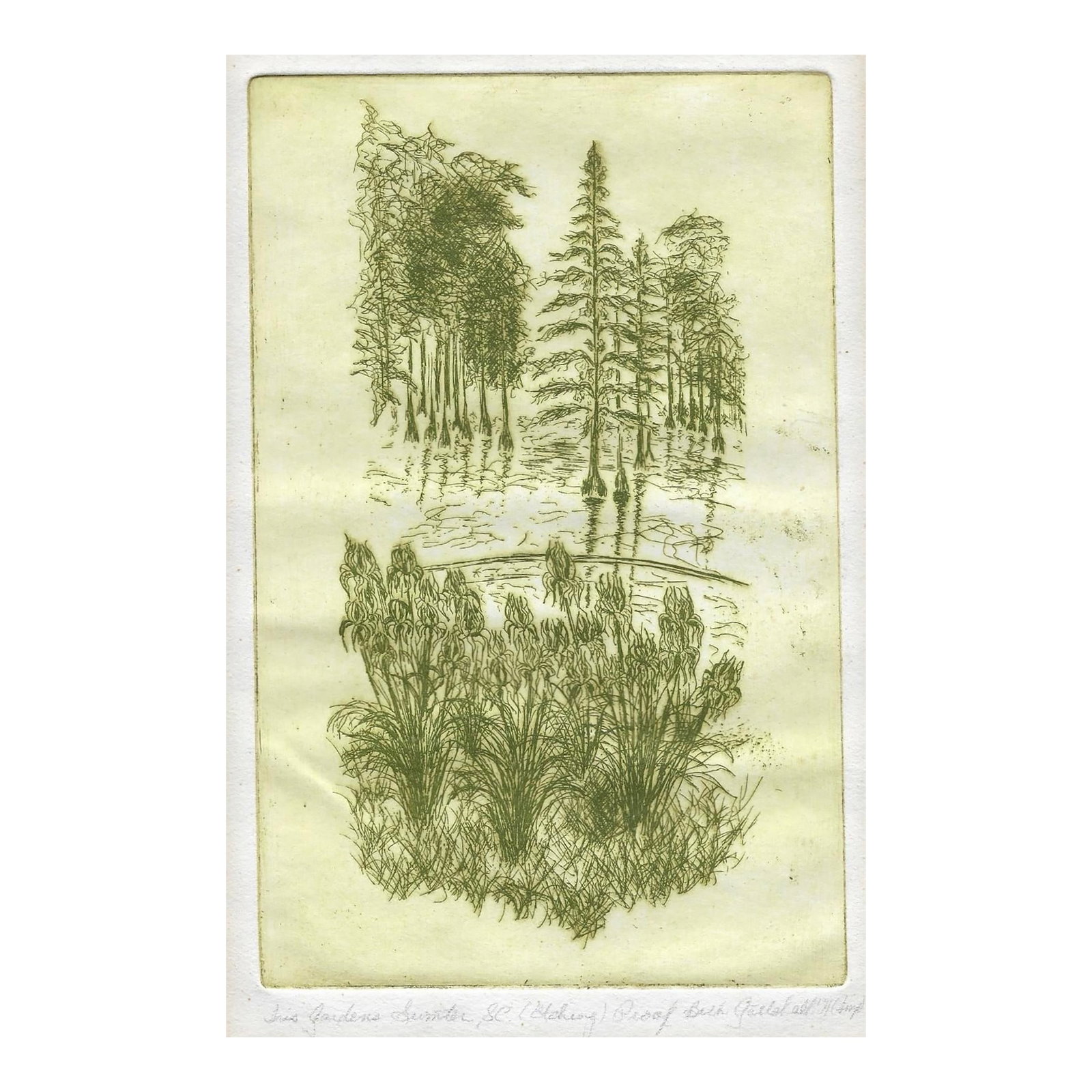 Iris Gardens Sumter South Carolina Etching (1 of 2)