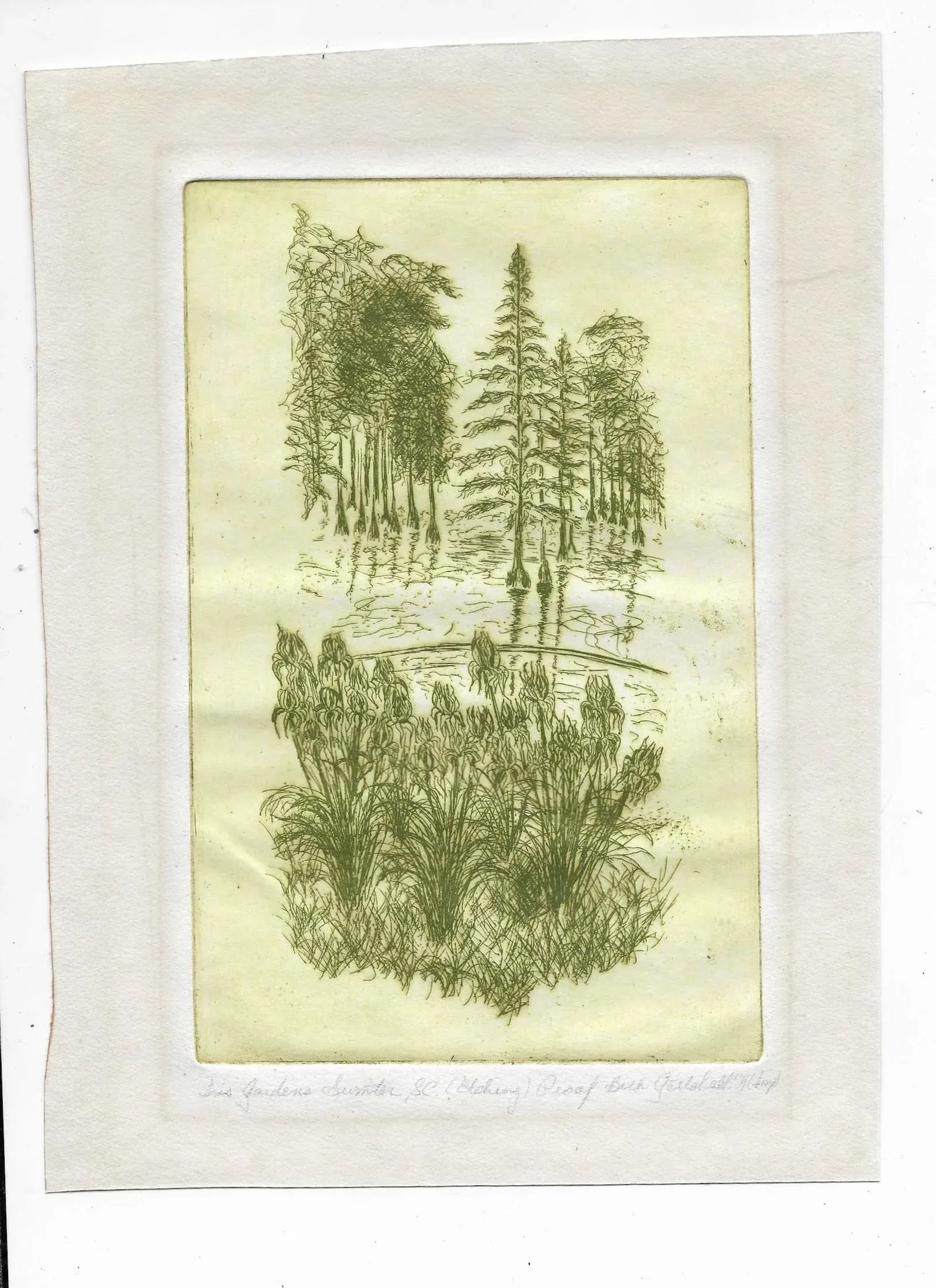 Iris Gardens Sumter South Carolina Etching - 2