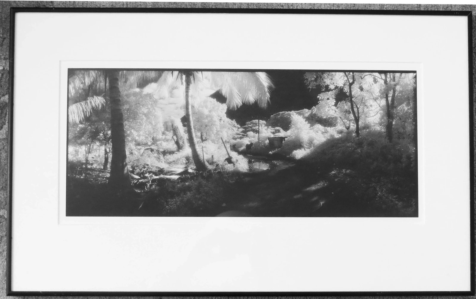 1980s "Waipio Valley, Hawaii" Silver Gelatin Photograph by Geir Jordahl, Framed - 10