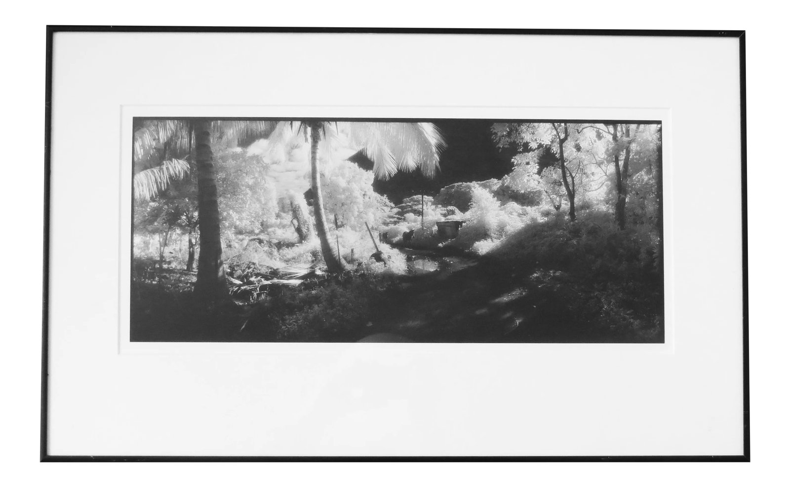 1980s "Waipio Valley, Hawaii" Silver Gelatin Photograph by Geir Jordahl, Framed: Artist: Geir Jordahl - American (1957- ) Title: Waipio Valley, Hawaii Year: 1987 Medium: Silver Gelatin photograph using infrared film Sight size: 8.25 x 19.75 inches. Framed size: 16.25 x 26.25