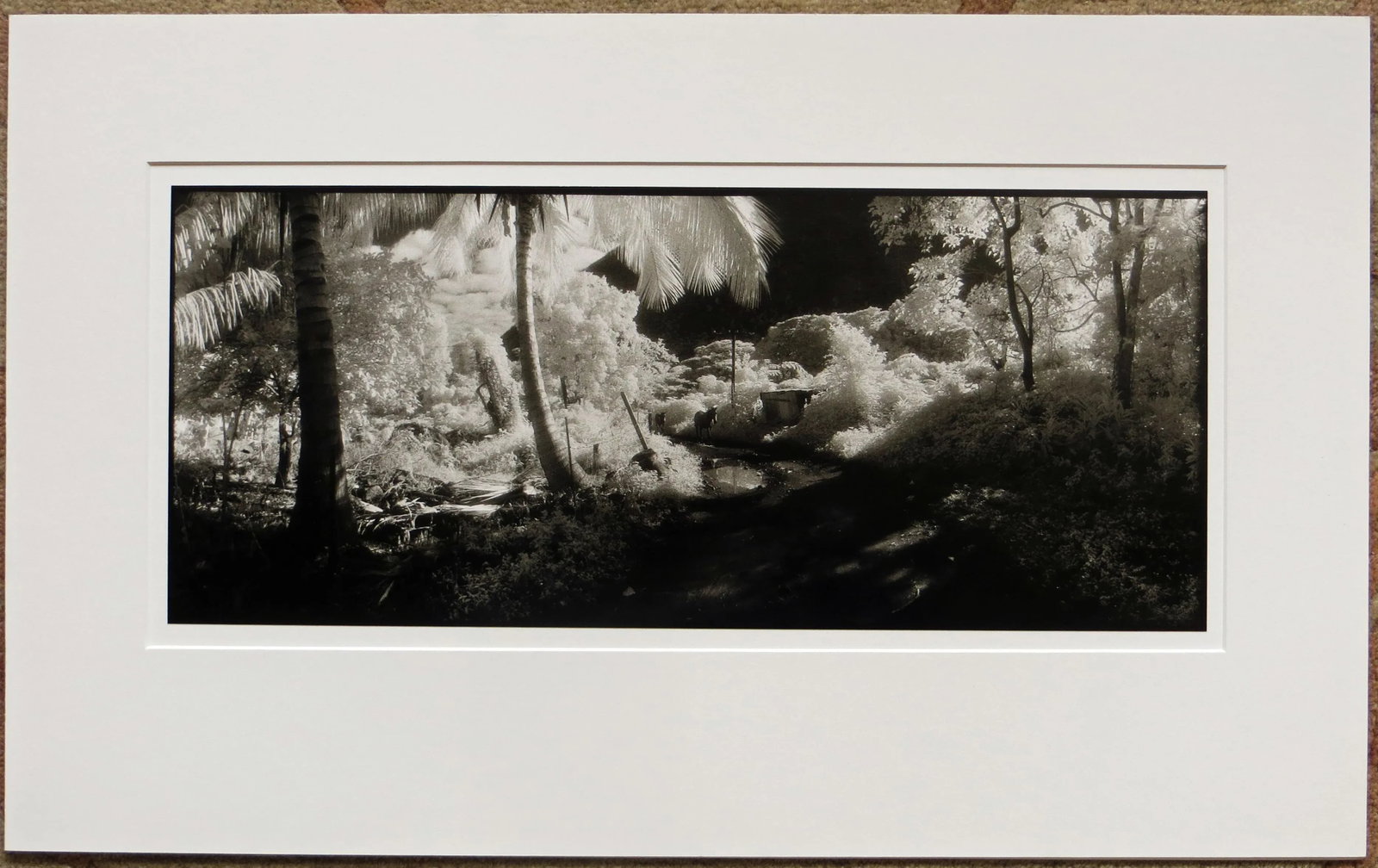 1980s "Waipio Valley, Hawaii" Silver Gelatin Photograph by Geir Jordahl, Framed - 2