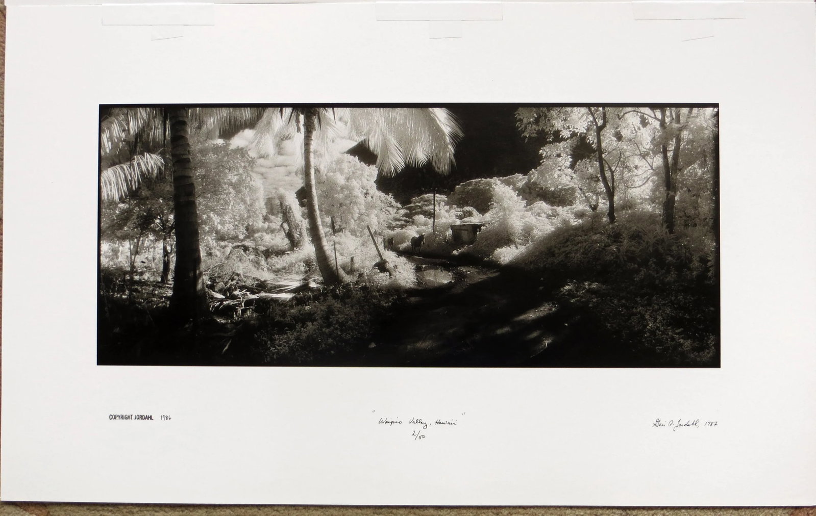 1980s "Waipio Valley, Hawaii" Silver Gelatin Photograph by Geir Jordahl, Framed - 6