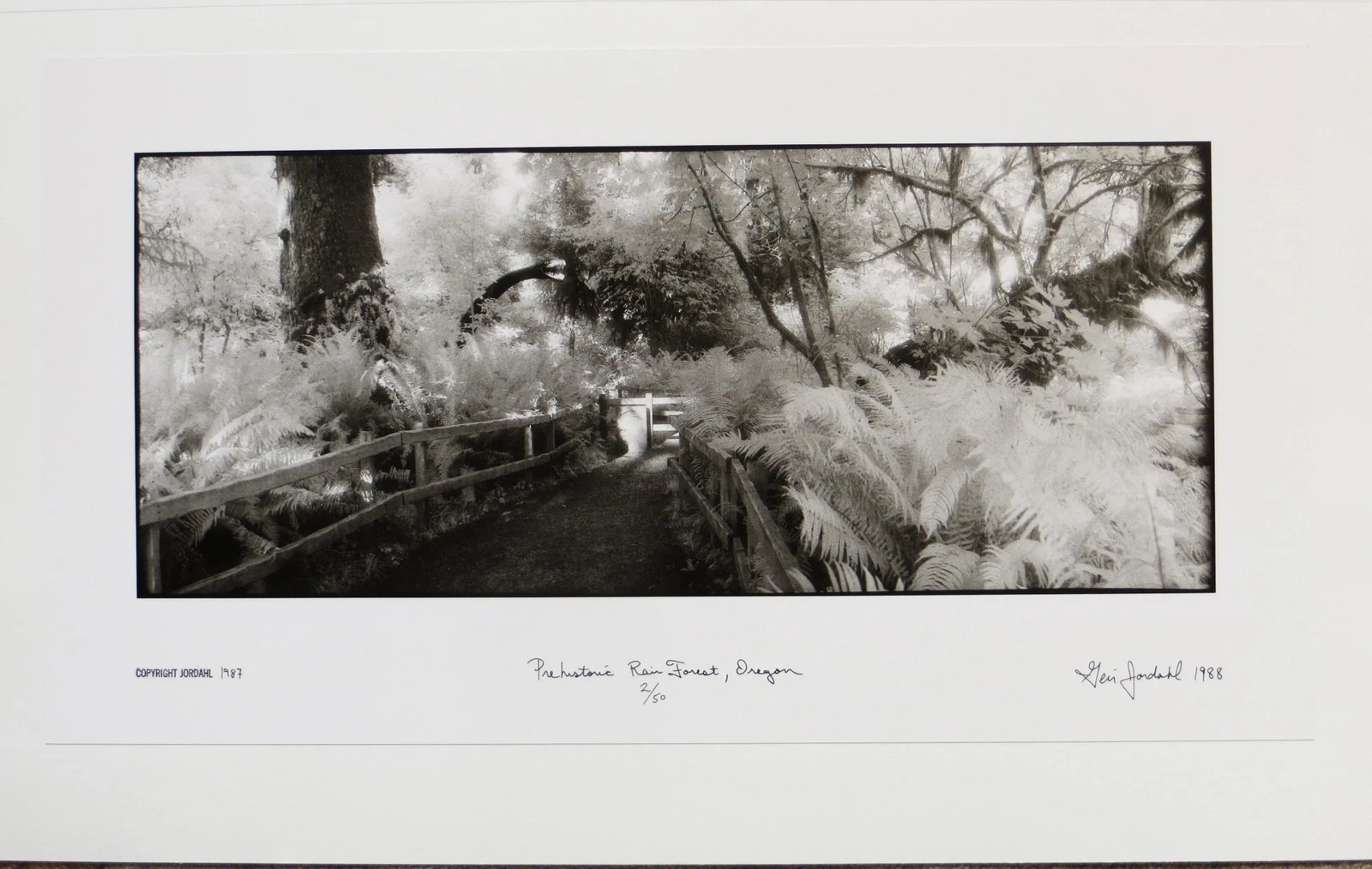 1980s "Prehistoric Rain Forest, Oregon" Silver Gelatin Photograph by Geir Jordahl, Framed - 4