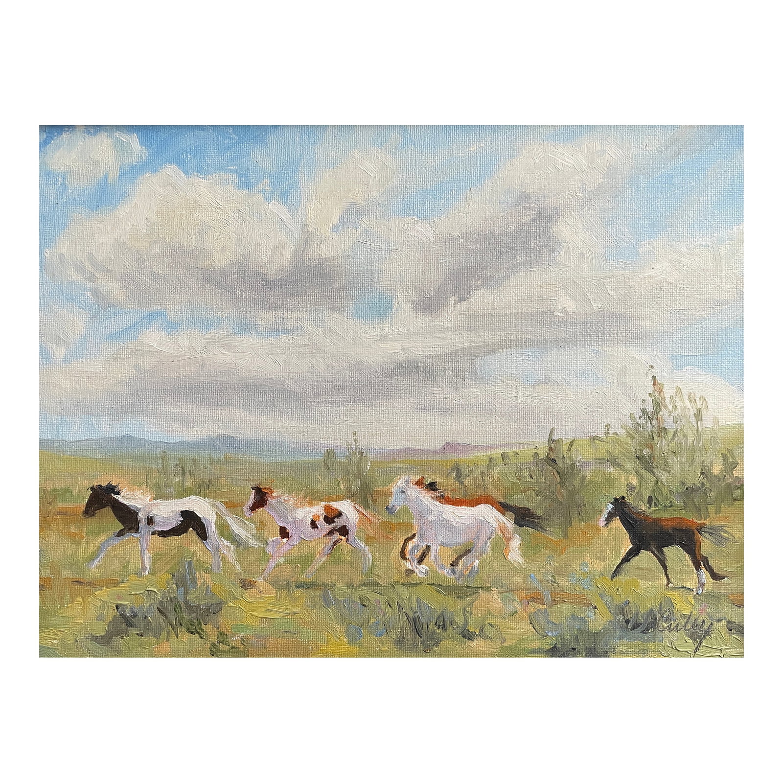 Contemporary Wild Horses Painting: This is an original oil painting of a scene of galloping horses that are rounded up from BLM land in the Spring in Coloradp. The Mantle Ranch uses the horses for rent to Dude Ranches. A yearly event t
