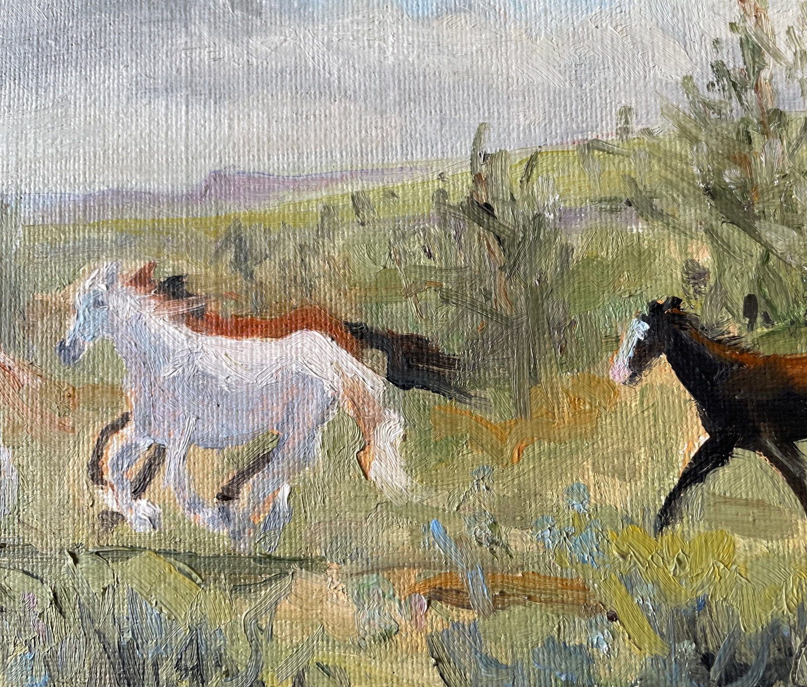 Contemporary Wild Horses Painting - 2