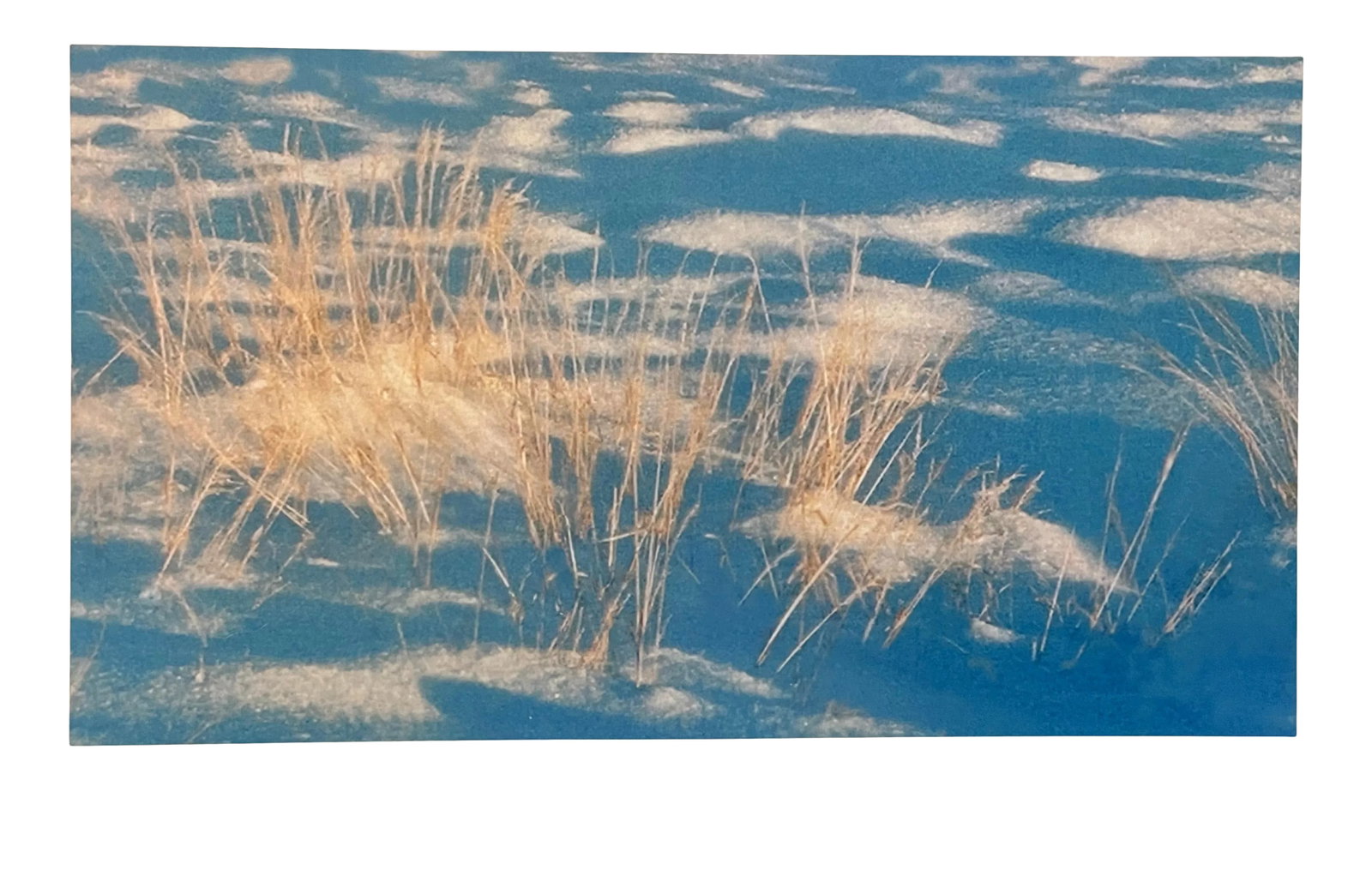 Snow and Grass Contemporary Color Photograph Print from The Estate of Gleb Derujinsky: The pleasure of finally being able to go through the archive of my father, Gleb Derujinsky, and begin the task of sharing his vast imagination is a thrill. Many know his work now from his career as a 