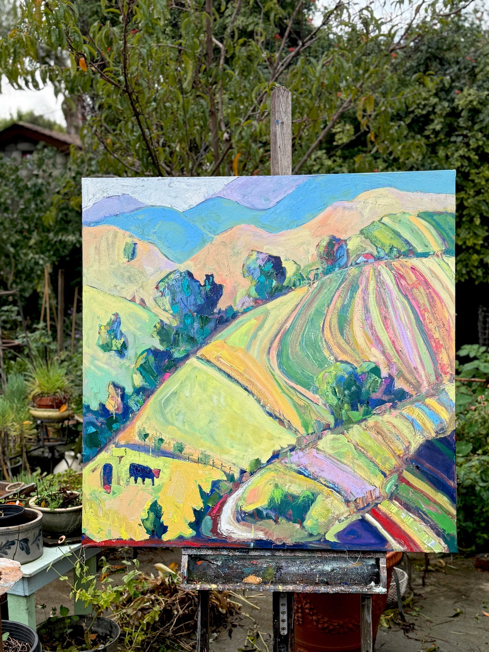 California Landscape Abstract Expressionist 4'sq. Mountains, Cows by James Hartman - 3