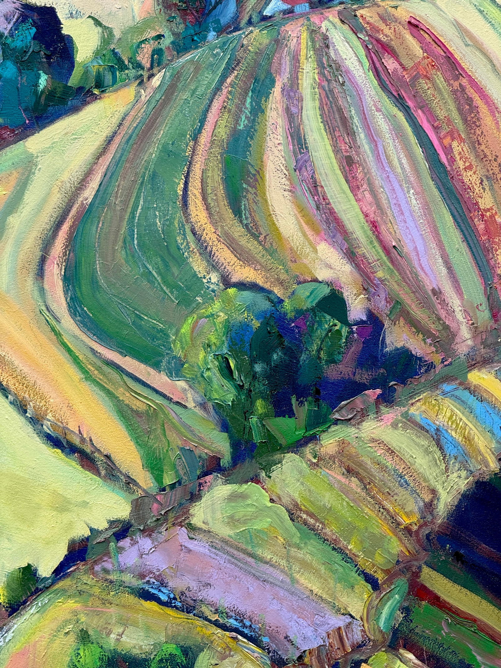 California Landscape Abstract Expressionist 4'sq. Mountains, Cows by James Hartman - 6