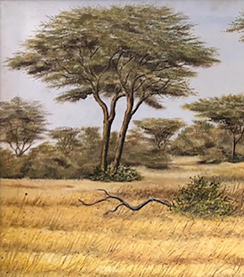 Mid 20th Century Oil Painting of Leopards in Kenya, Framed - 3
