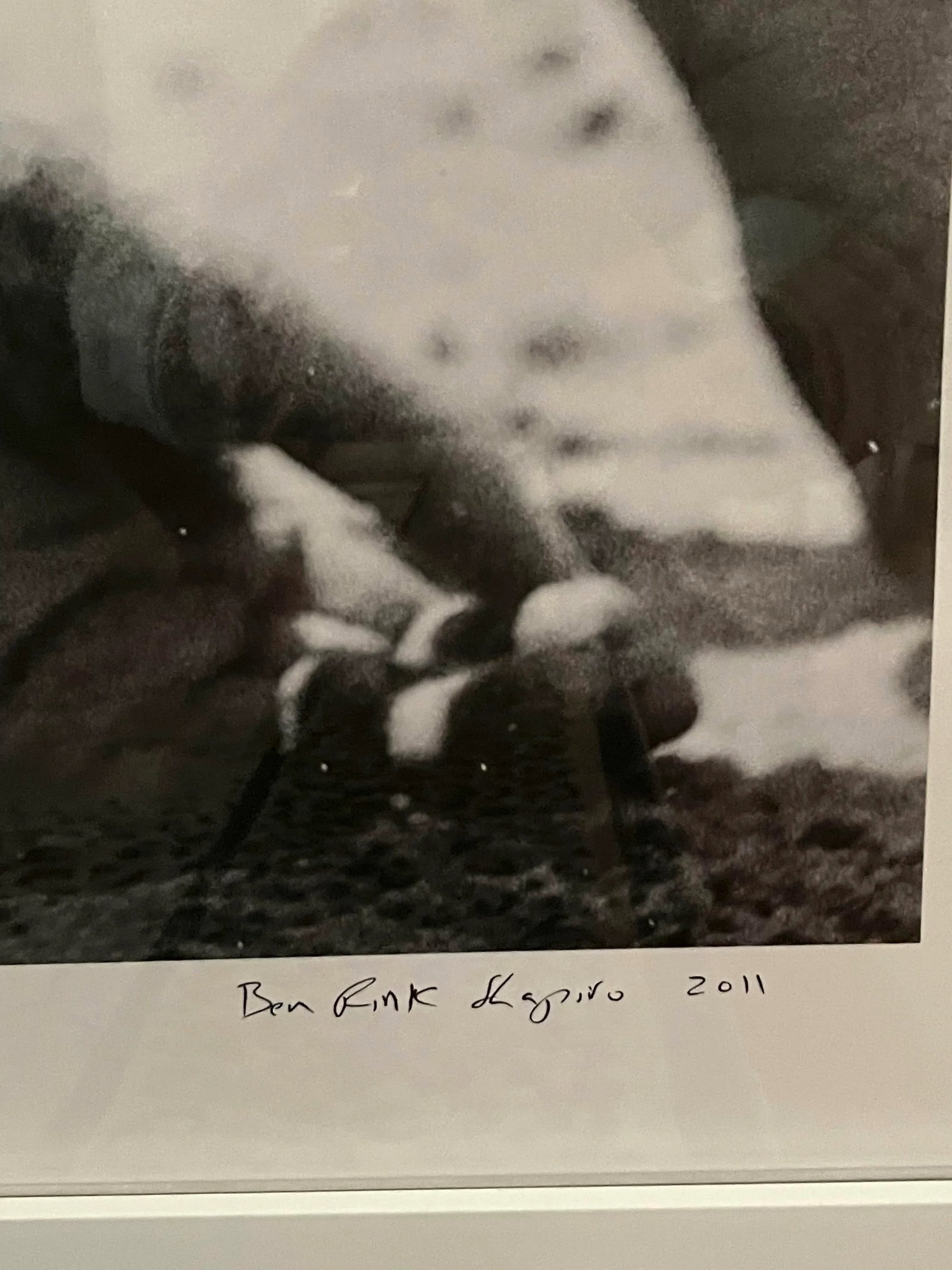 Ben Fink Shapiro Signed Numbered #1/8 Artists Proof Photograph Newly Framed - 8