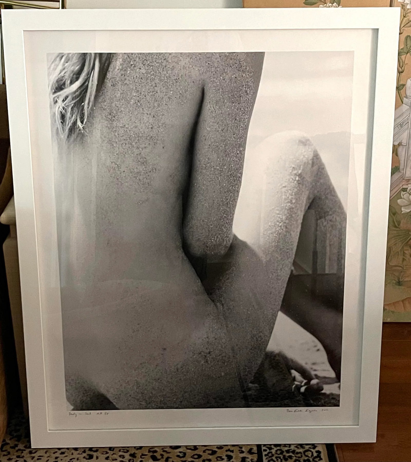 Ben Fink Shapiro Signed Numbered #1/8 Artists Proof Photograph Newly Framed - 9