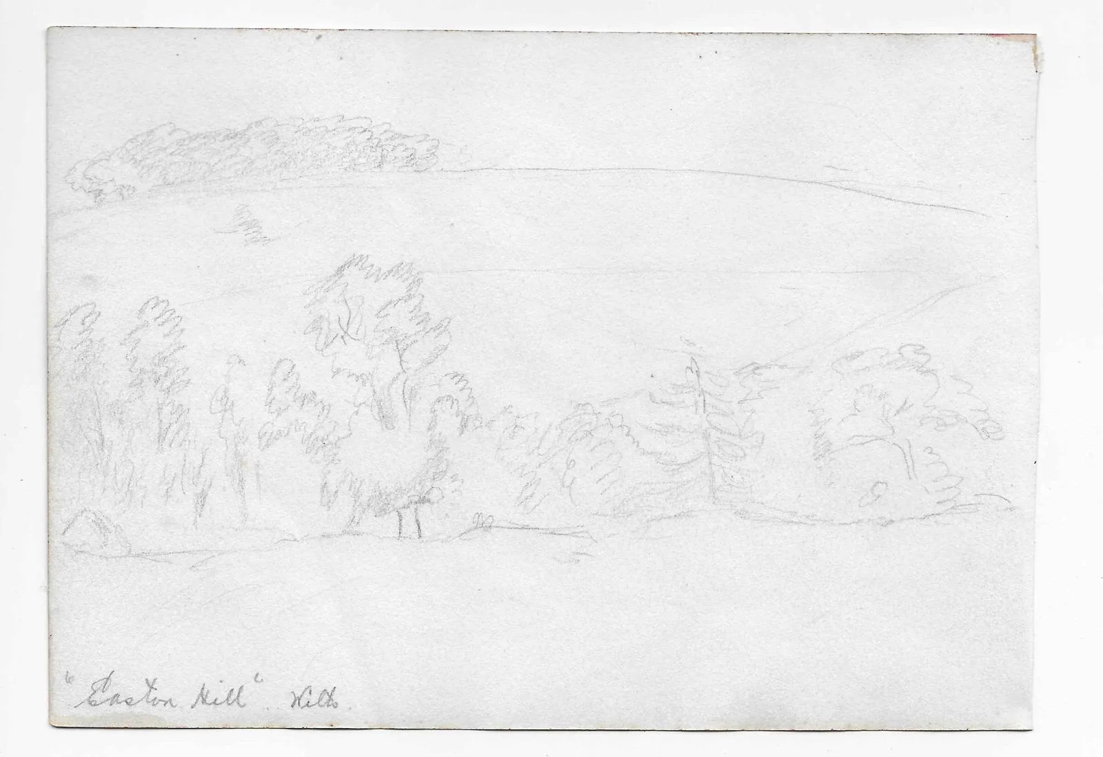 1907 English Equestrian Drawing by Thorne - 2