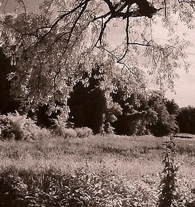 Summerfield Infrared Sepia Toned Photograph From Film by Gary Bartoloni - 2