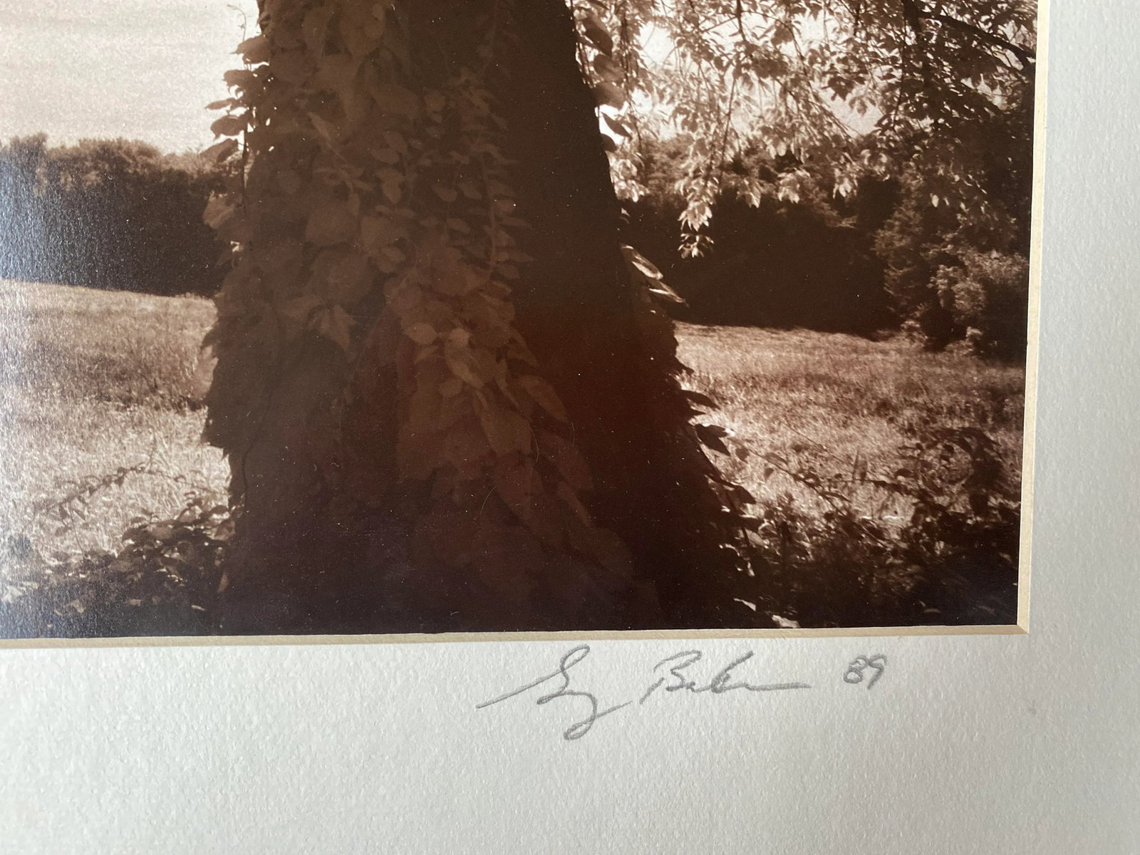 Summerfield Infrared Sepia Toned Photograph From Film by Gary Bartoloni - 4