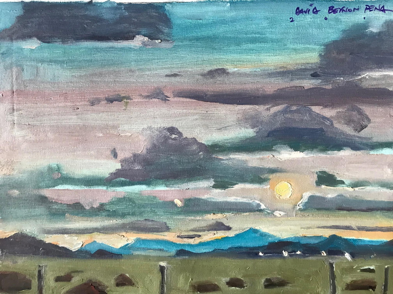 Arizona's Blaze: A Captivating Original Oil Landscape Painting by David Beynon Pena - 2