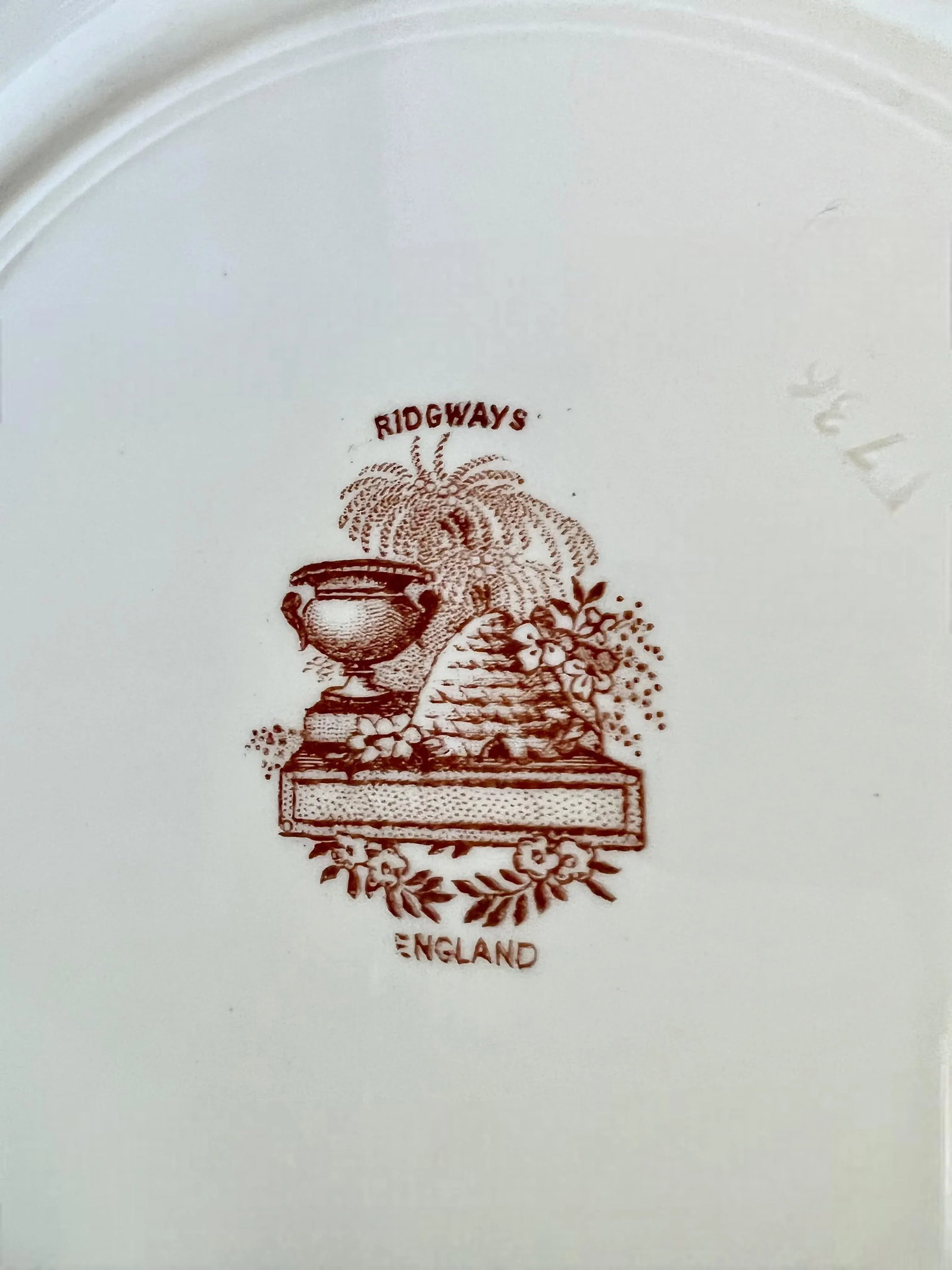 Set of 5 Antique William Ridgway Red Transferware Turkey Plates - Grandmillennial Staffordshire - 10