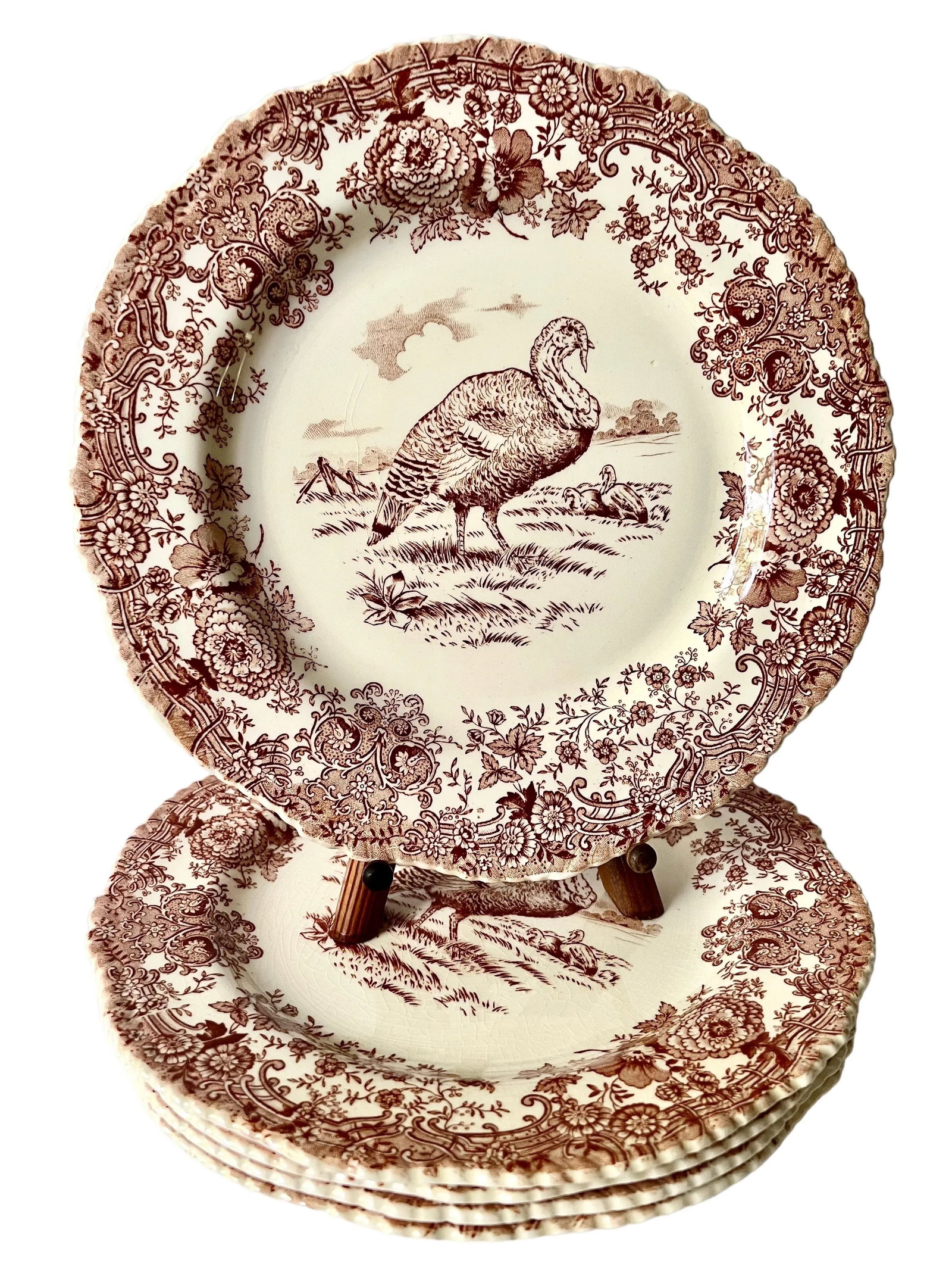 Set of 5 Antique William Ridgway Red Transferware Turkey Plates - Grandmillennial Staffordshire - 11