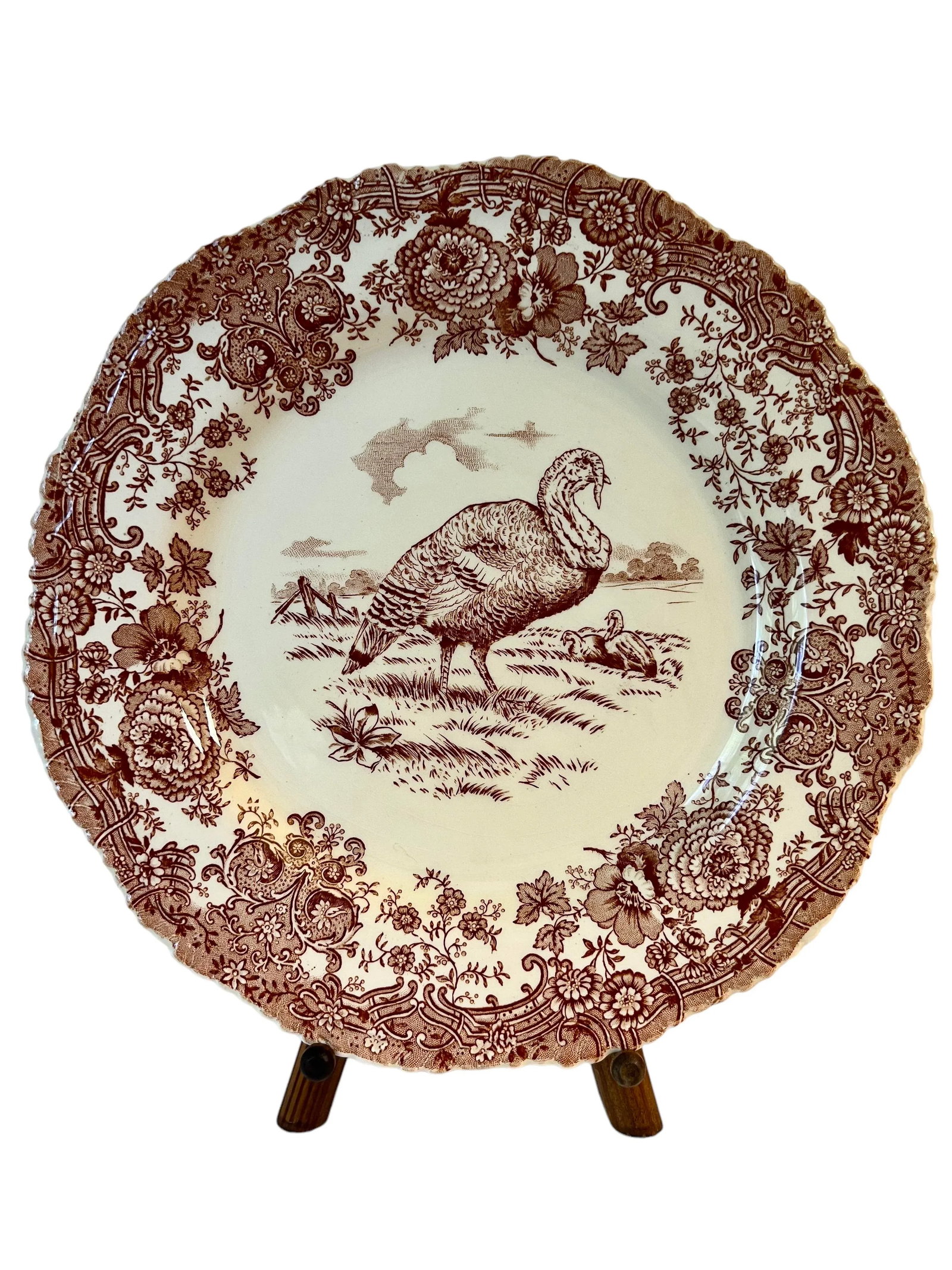 Set of 5 Antique William Ridgway Red Transferware Turkey Plates - Grandmillennial Staffordshire - 2