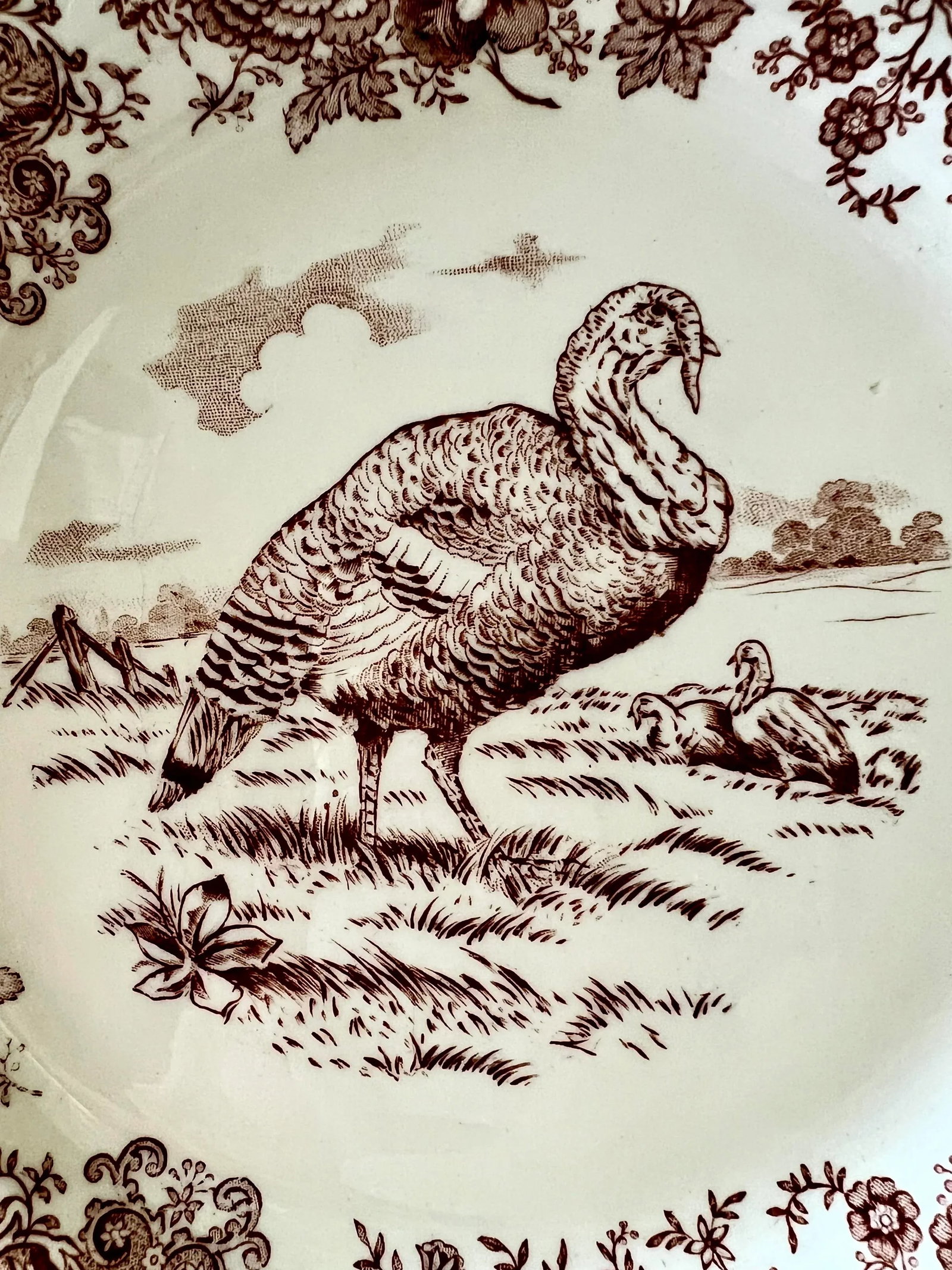 Set of 5 Antique William Ridgway Red Transferware Turkey Plates - Grandmillennial Staffordshire - 4