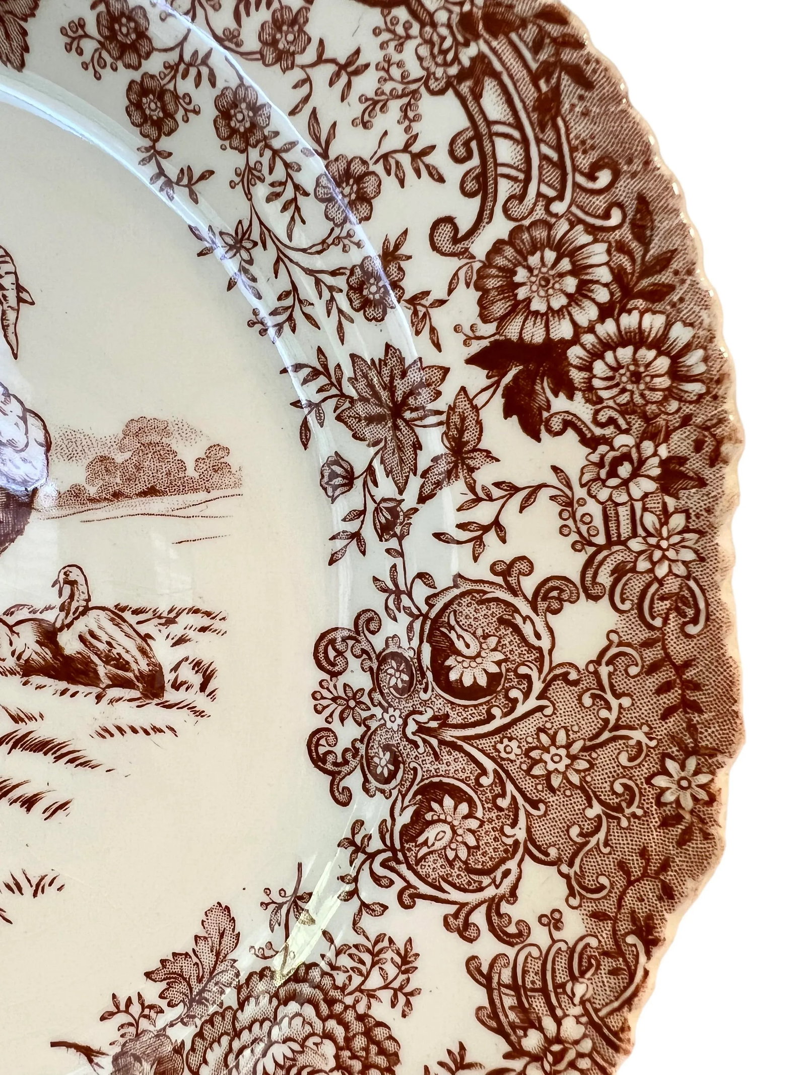 Set of 5 Antique William Ridgway Red Transferware Turkey Plates - Grandmillennial Staffordshire - 6