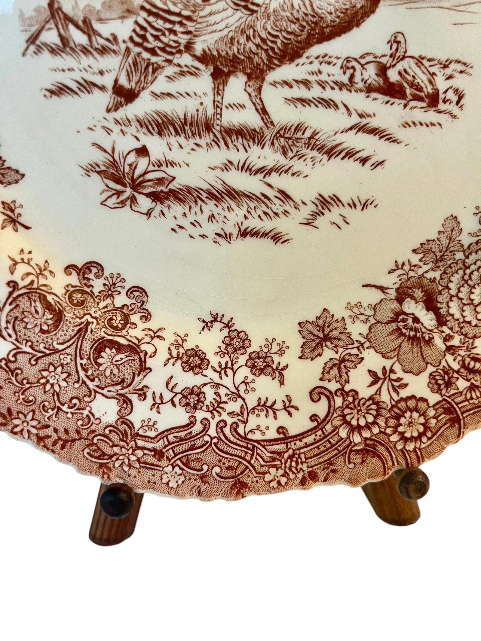 Set of 5 Antique William Ridgway Red Transferware Turkey Plates - Grandmillennial Staffordshire - 7