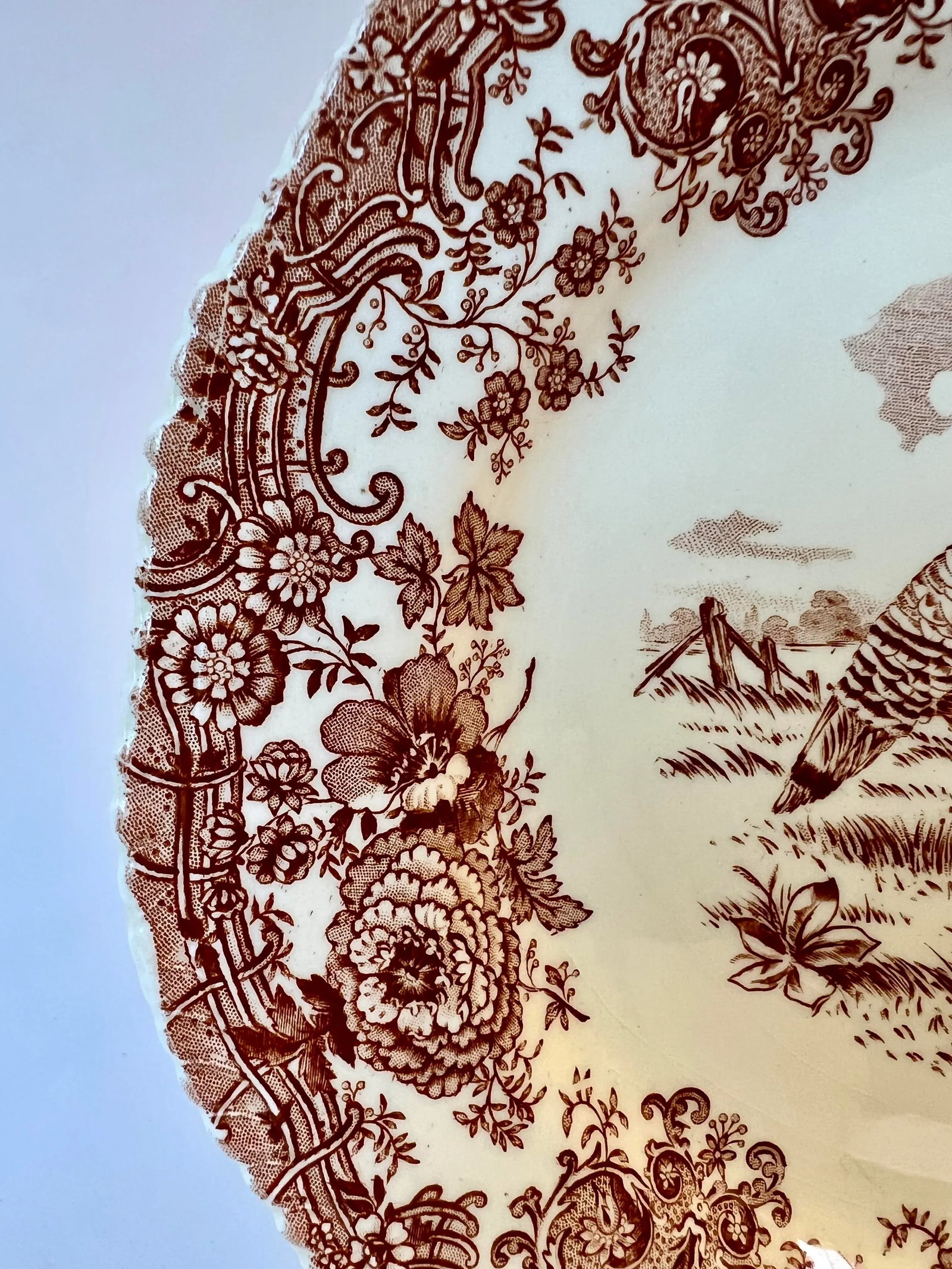 Set of 5 Antique William Ridgway Red Transferware Turkey Plates - Grandmillennial Staffordshire - 8