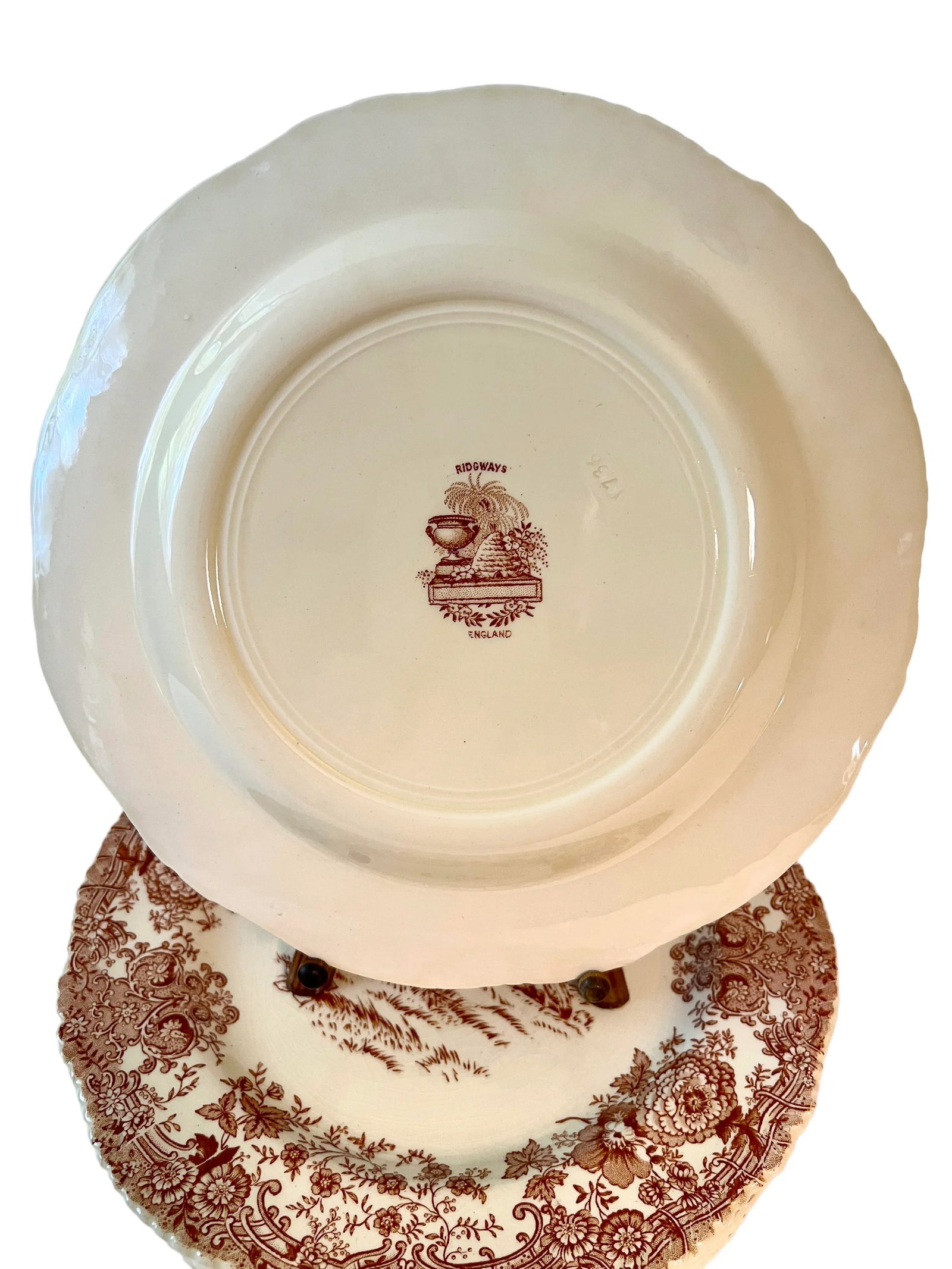 Set of 5 Antique William Ridgway Red Transferware Turkey Plates - Grandmillennial Staffordshire - 9