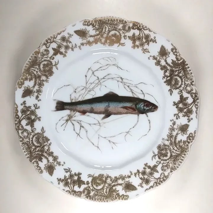 Cfh Gdm Haviland Limoges Fish Plates Hand Painted Set of 6 Gilt-Edge, 1882-1890 - 12