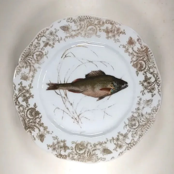 Cfh Gdm Haviland Limoges Fish Plates Hand Painted Set of 6 Gilt-Edge, 1882-1890 - 4