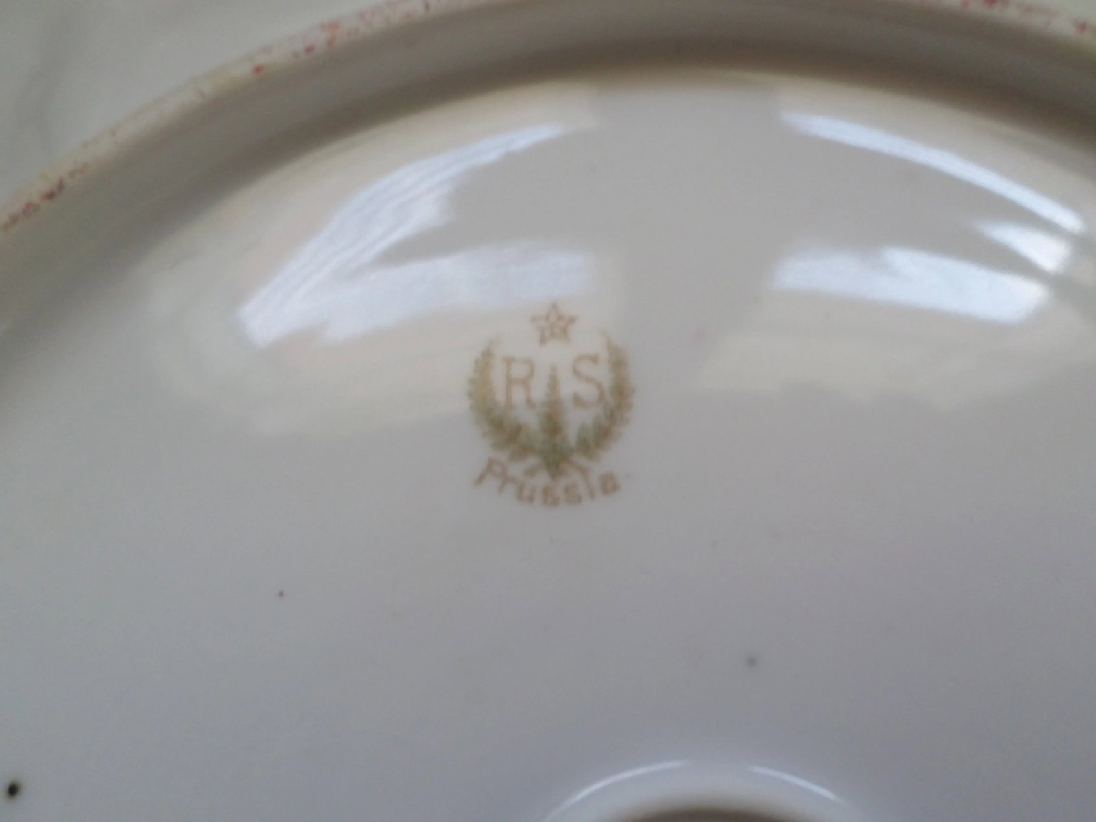 Antique RS Prussia Deep Pink Peonies and Gold Accented Porcelain Cake Set of 7 - 10