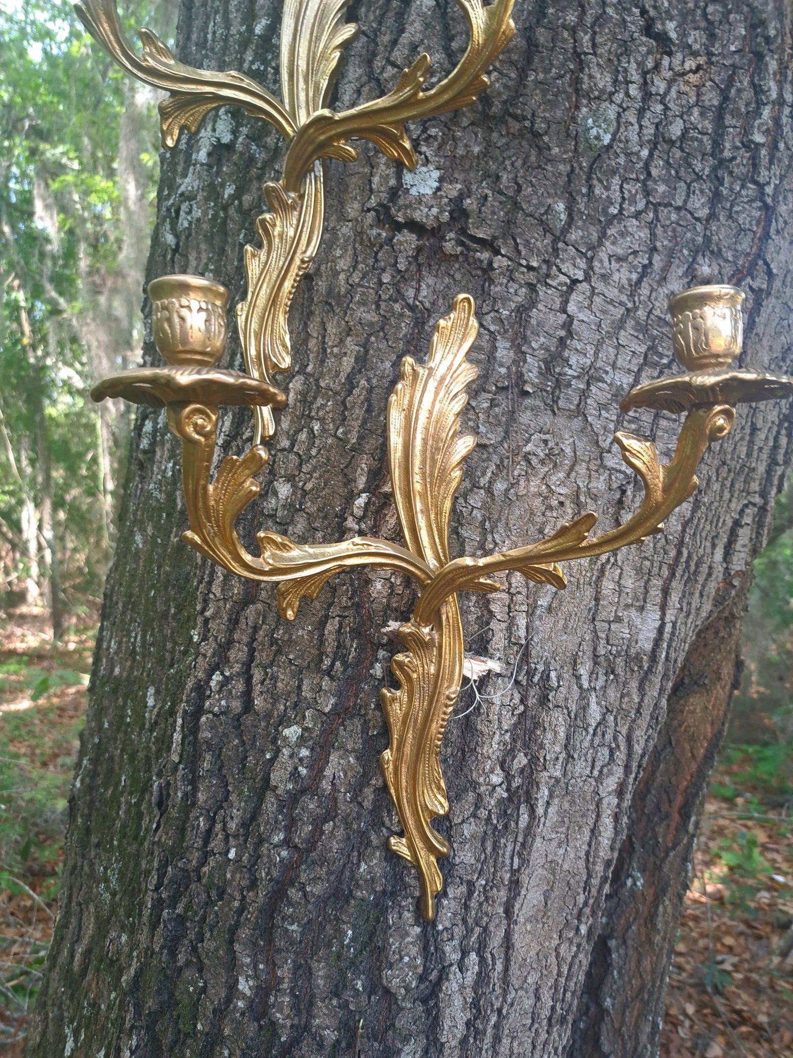 1960s Brass French Louis XV Style Wall Sconces - a Pair - 3