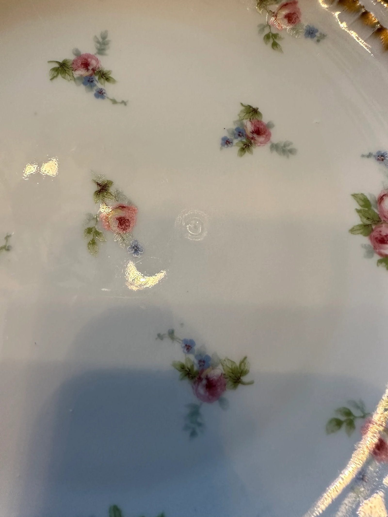 Early 20th Century Limoges Haviland Floral Dessert Plate Set- 5 Pieces - 4