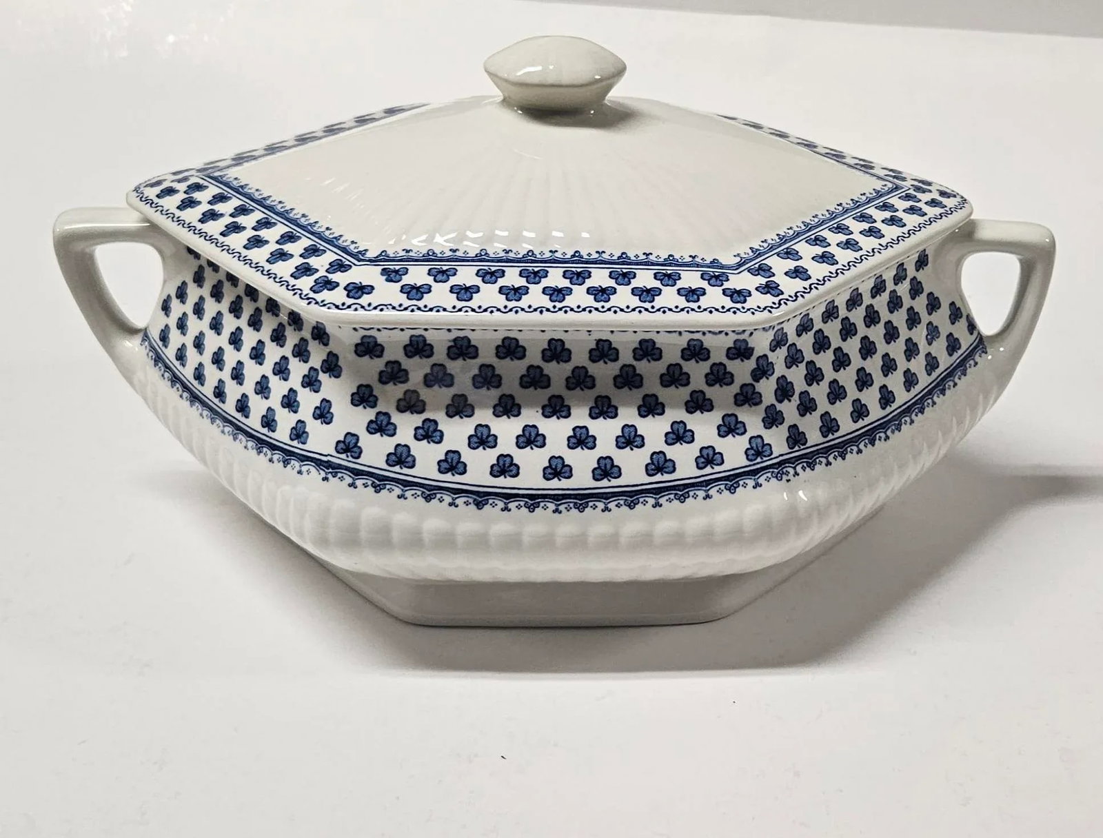 Late 20th Century Adams "Brentwood" Ironstone Luncheon Set, Made in England, Blue Backstamp- 39 Piec - 3