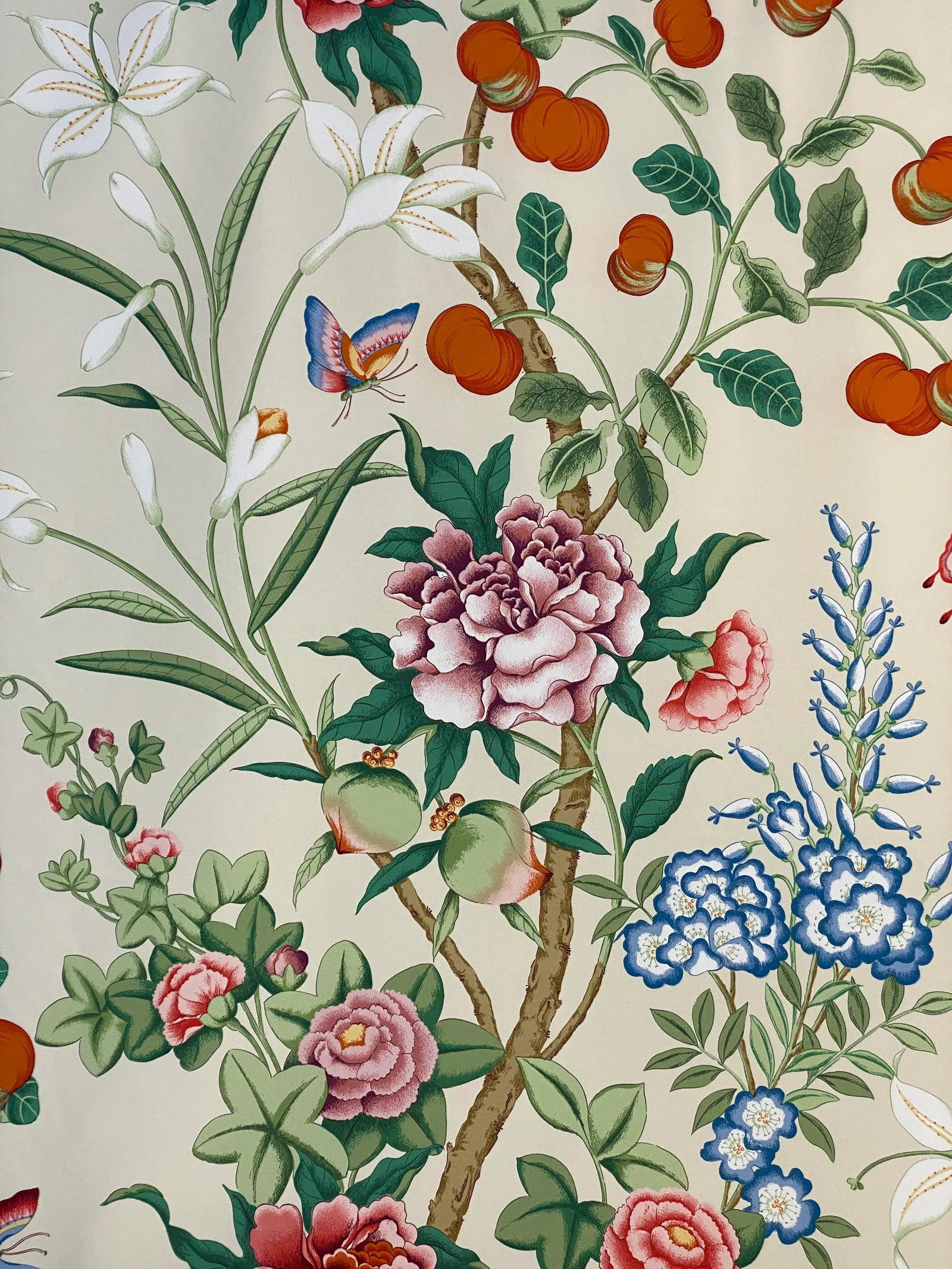 Cowtan & Tout "Melbourne Hall" Cotton Print Fabric- 25 Yards: An impressive 21 color large scale floral on a mercerized cotton percale ground. The multi-colors on cream, 18th century Chinoiserie style flowering branches reflects the finest printing Europe has