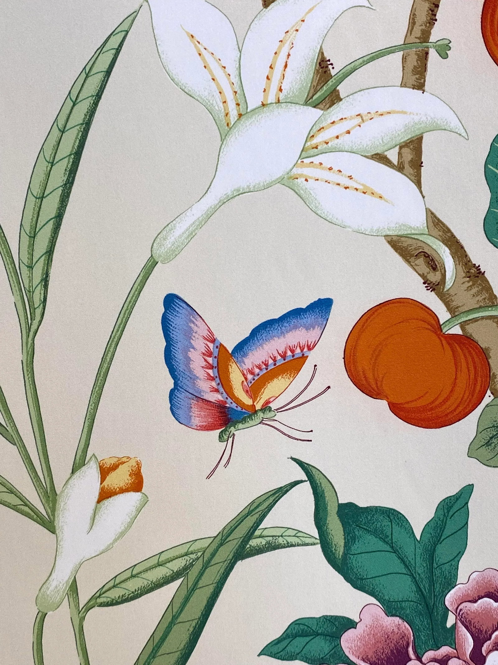 Cowtan & Tout "Melbourne Hall" Cotton Print Fabric- 25 Yards - 3