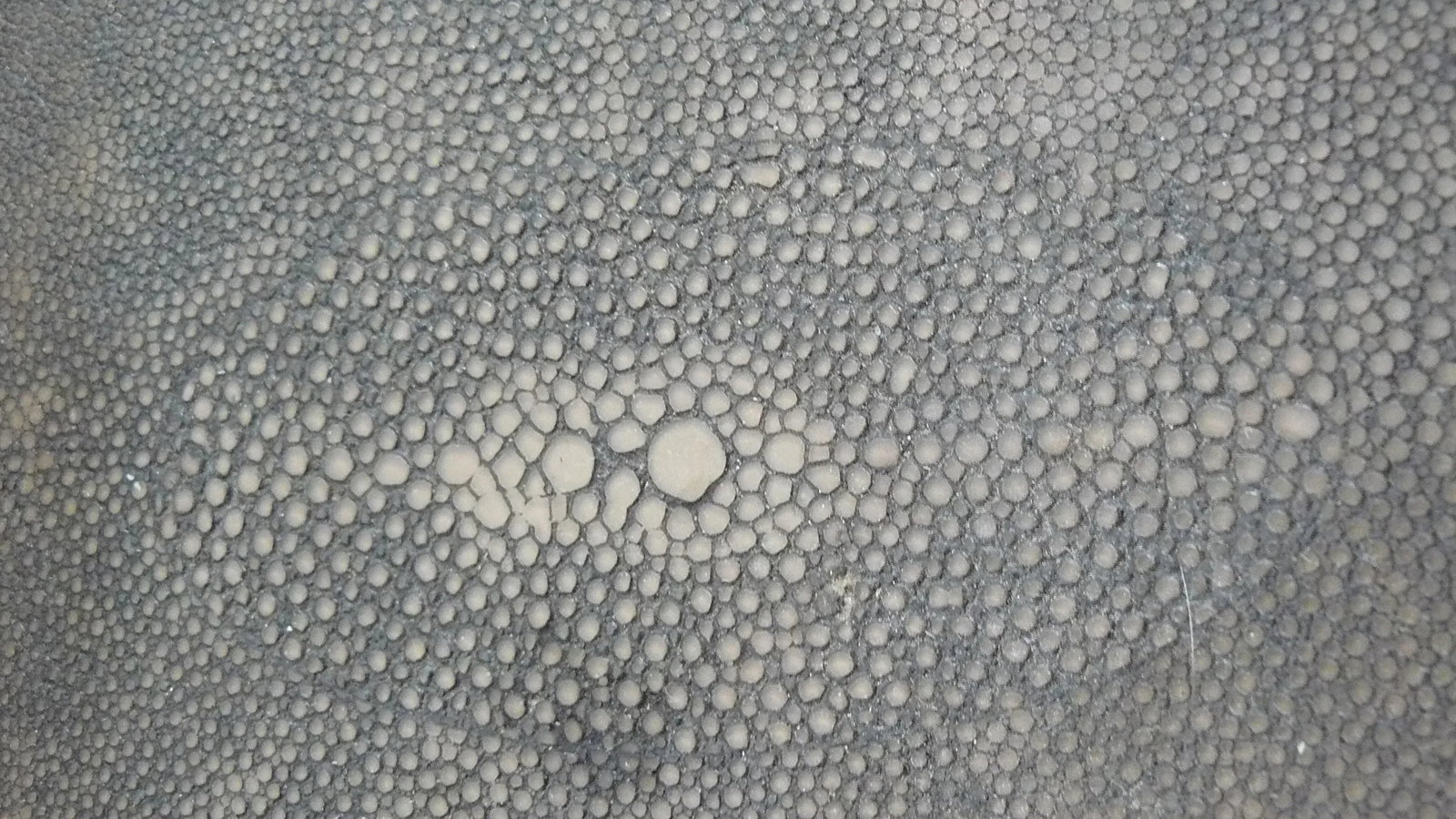 Wildwood Faux Shagreen and Wood Trays - a Pair - 4